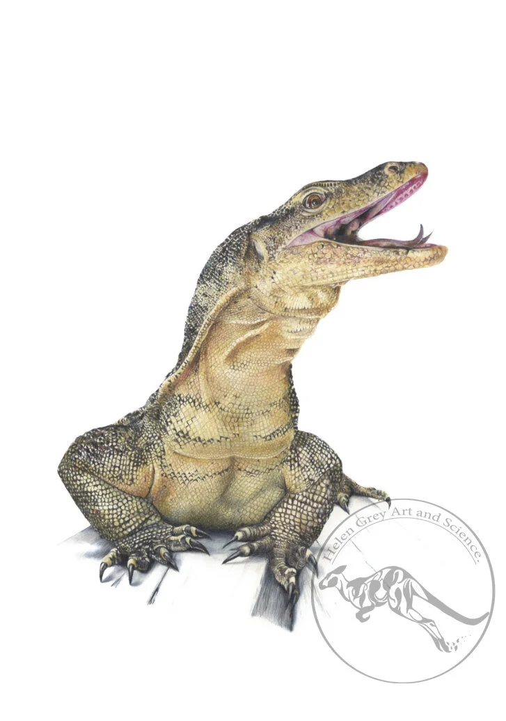 Zander_with watermark.jpg
