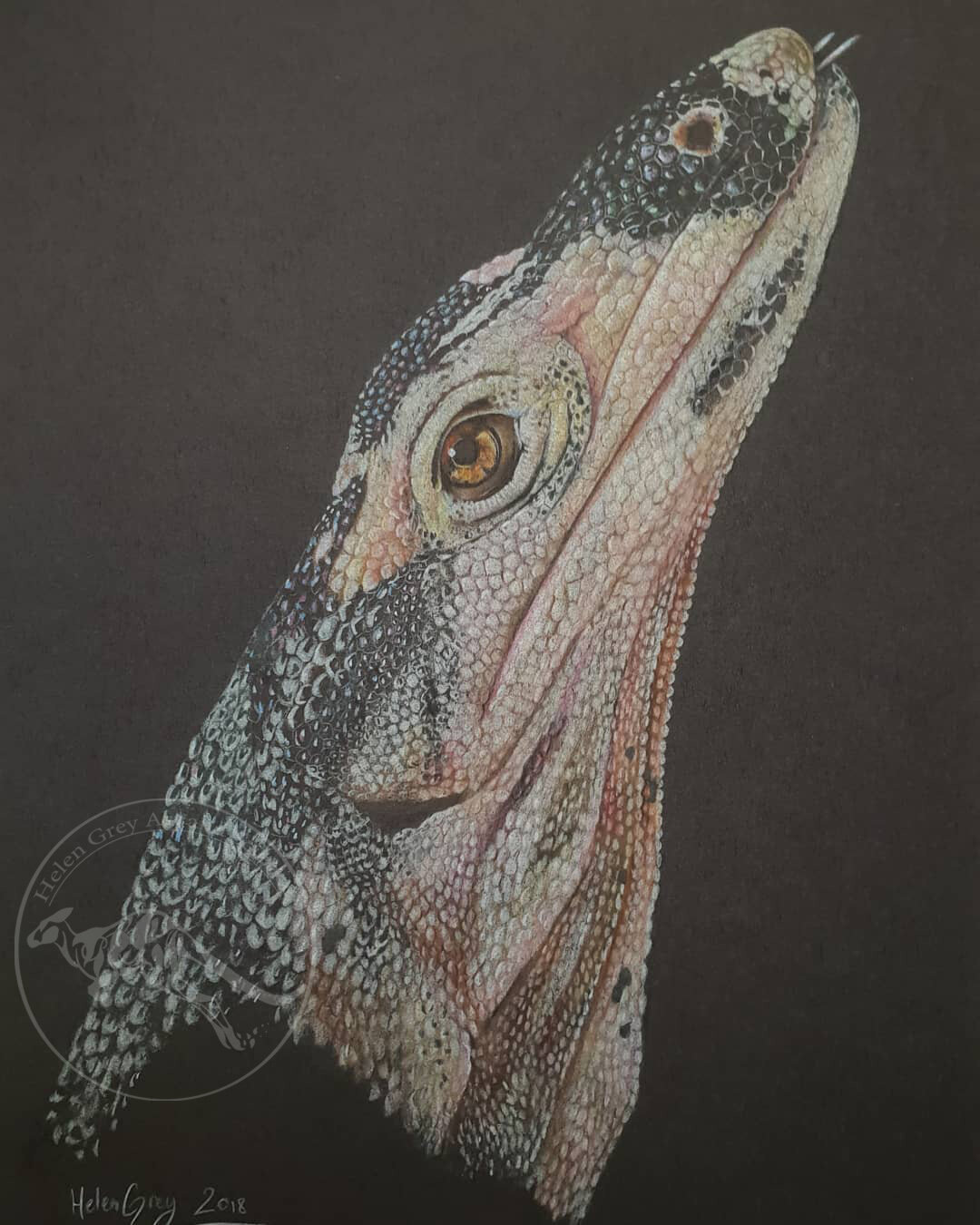 "Mötley the Monitor." - Limited Edition Print