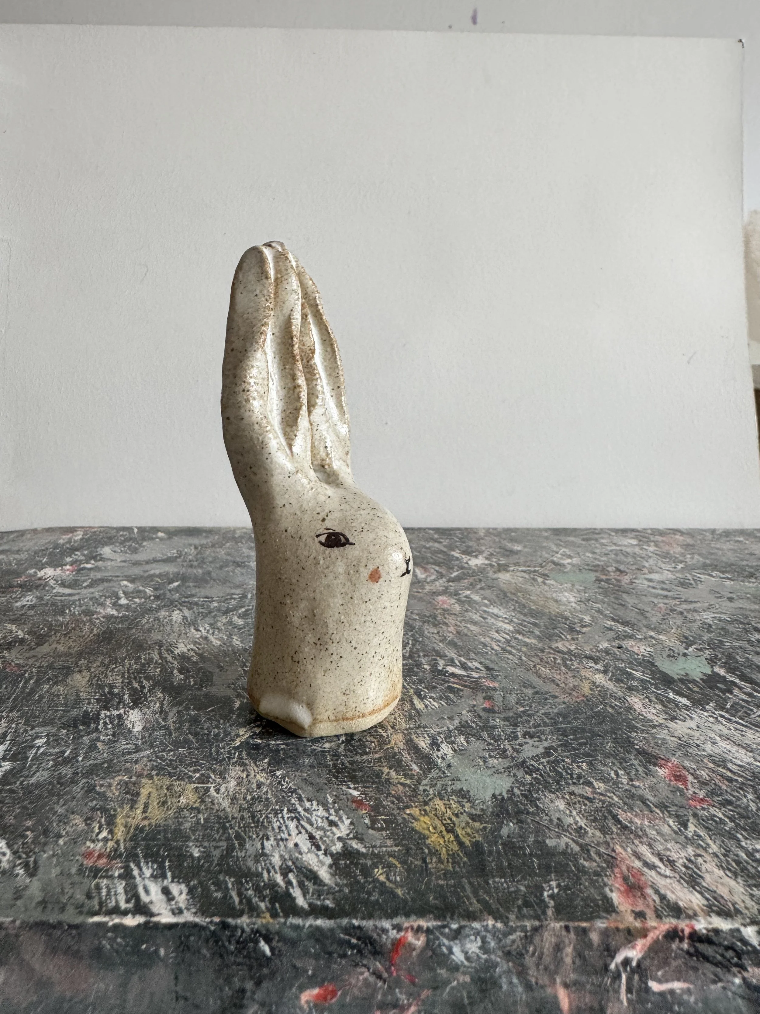 Rabbit V