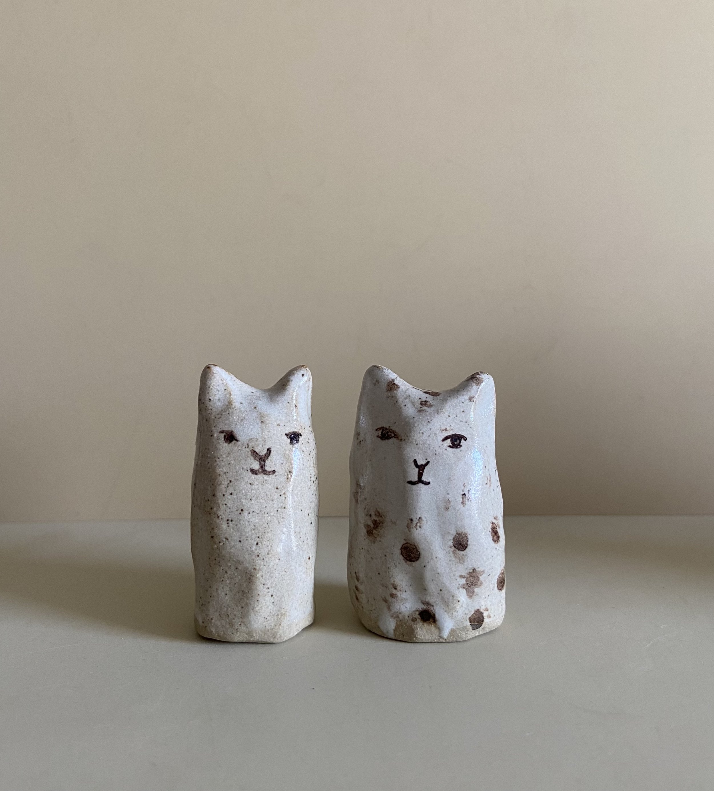 Two Mini Cats