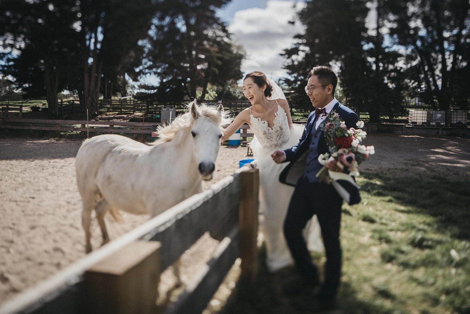 A laughing couple patting a horse at Collingwood Children's Farm during their wedding portraits