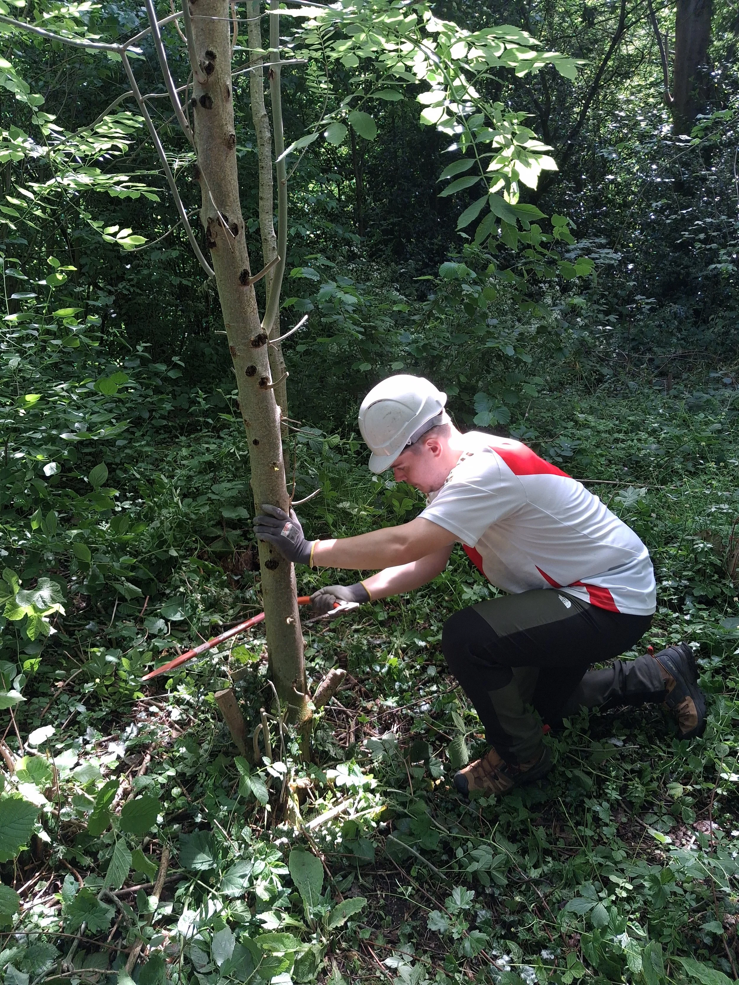 Birmingham & Black Country Wildlife Trust Grant