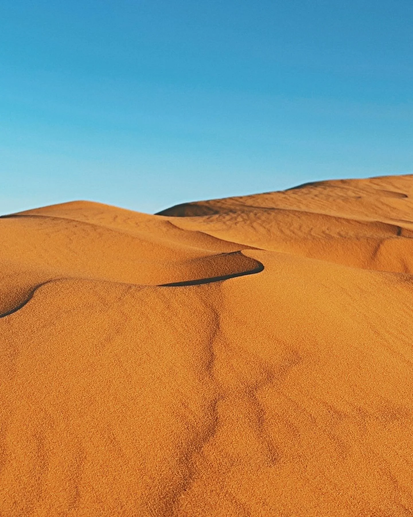 Sand dunes in a desert landscape with a clear blue sky.