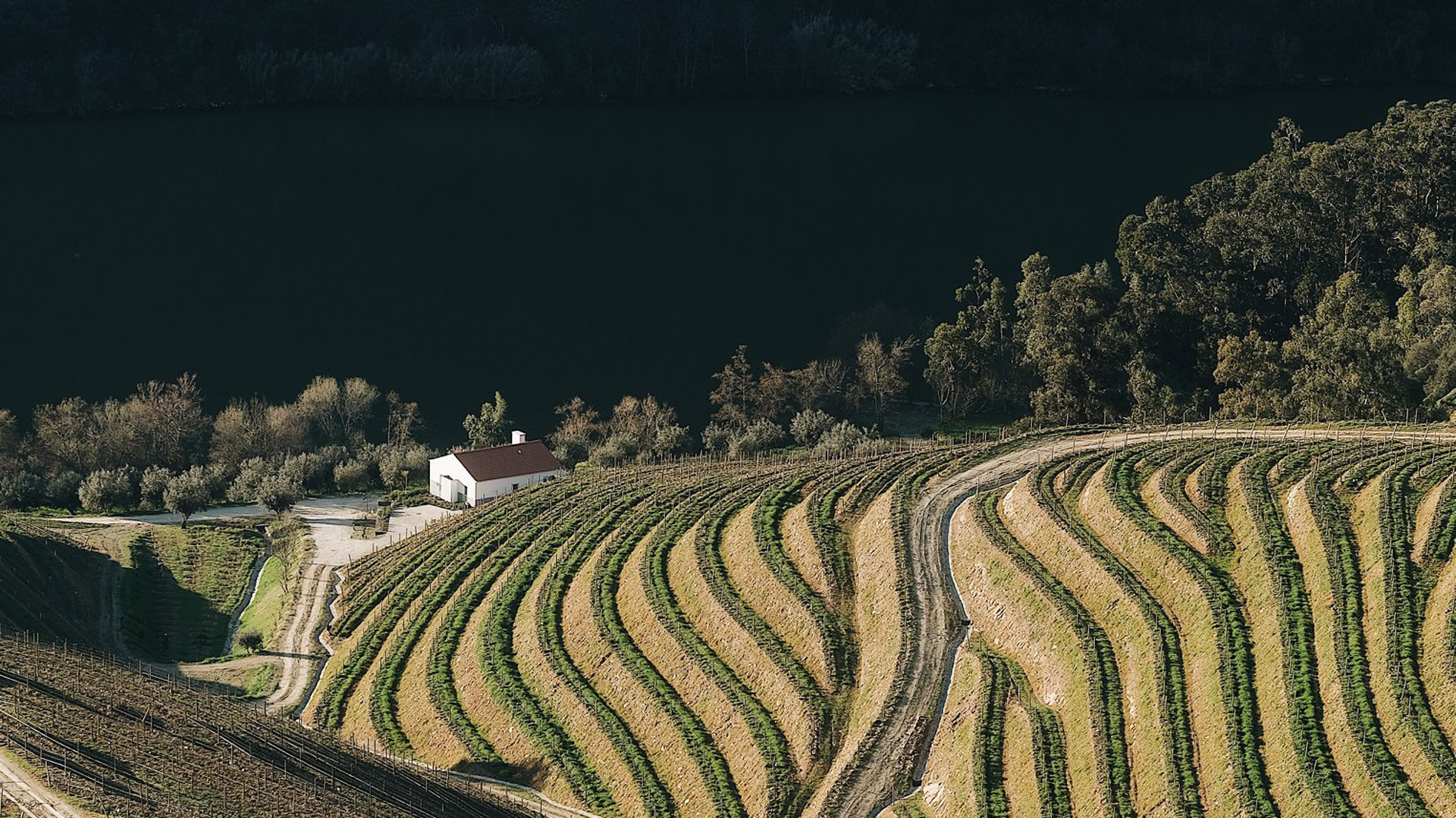 slideshow-casadorio-ventozelo-header.png