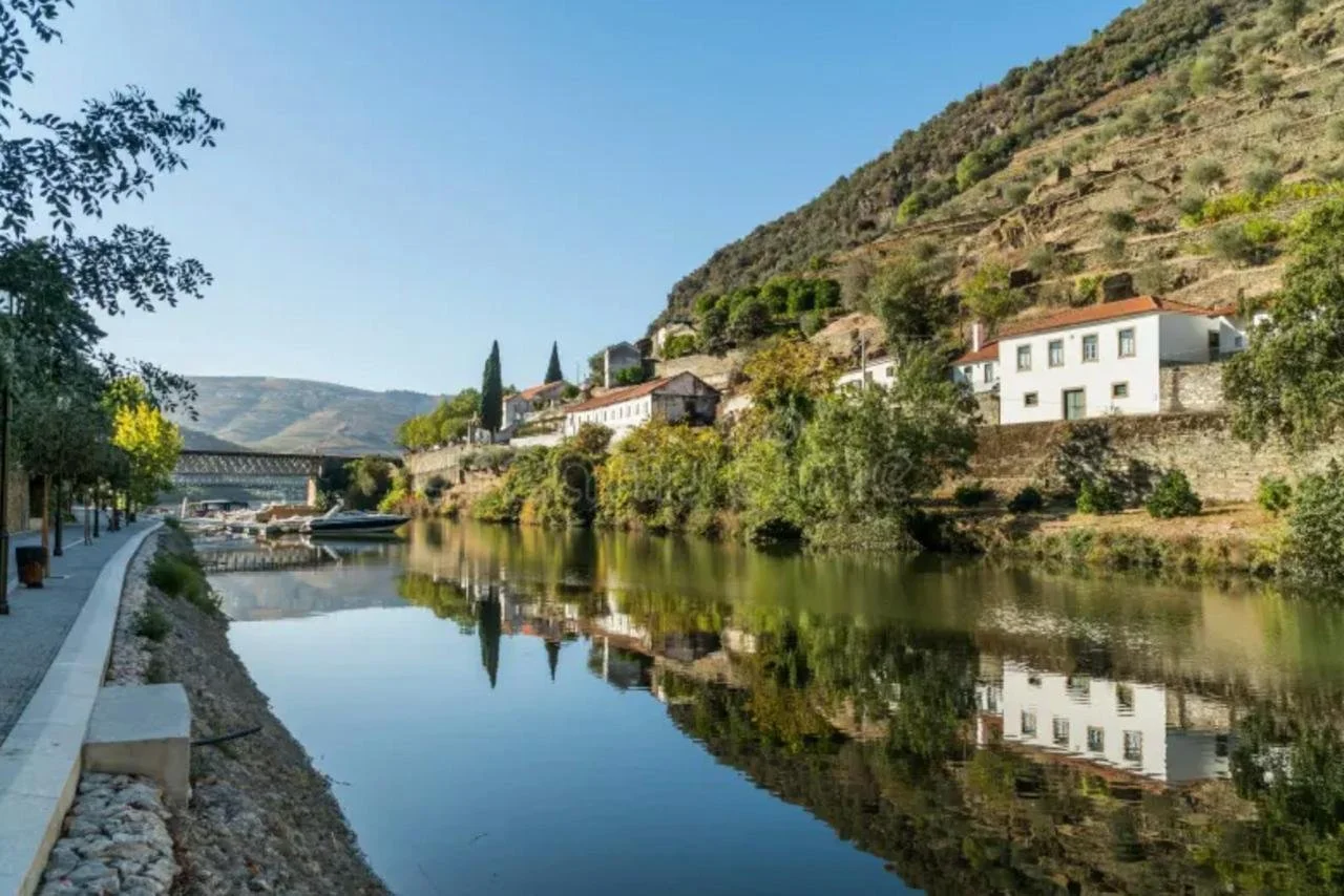 Marina do Pinhão.jpeg