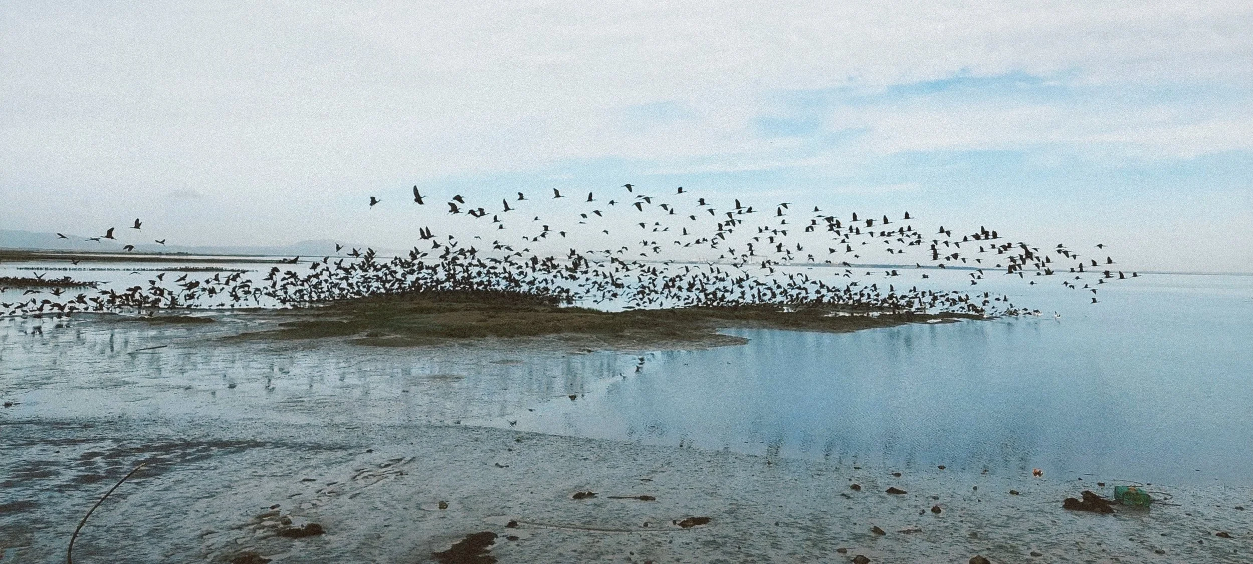 f747b85e-58b1-47ff-b9a0-e016d18b2d4f_VSCO 2.JPG