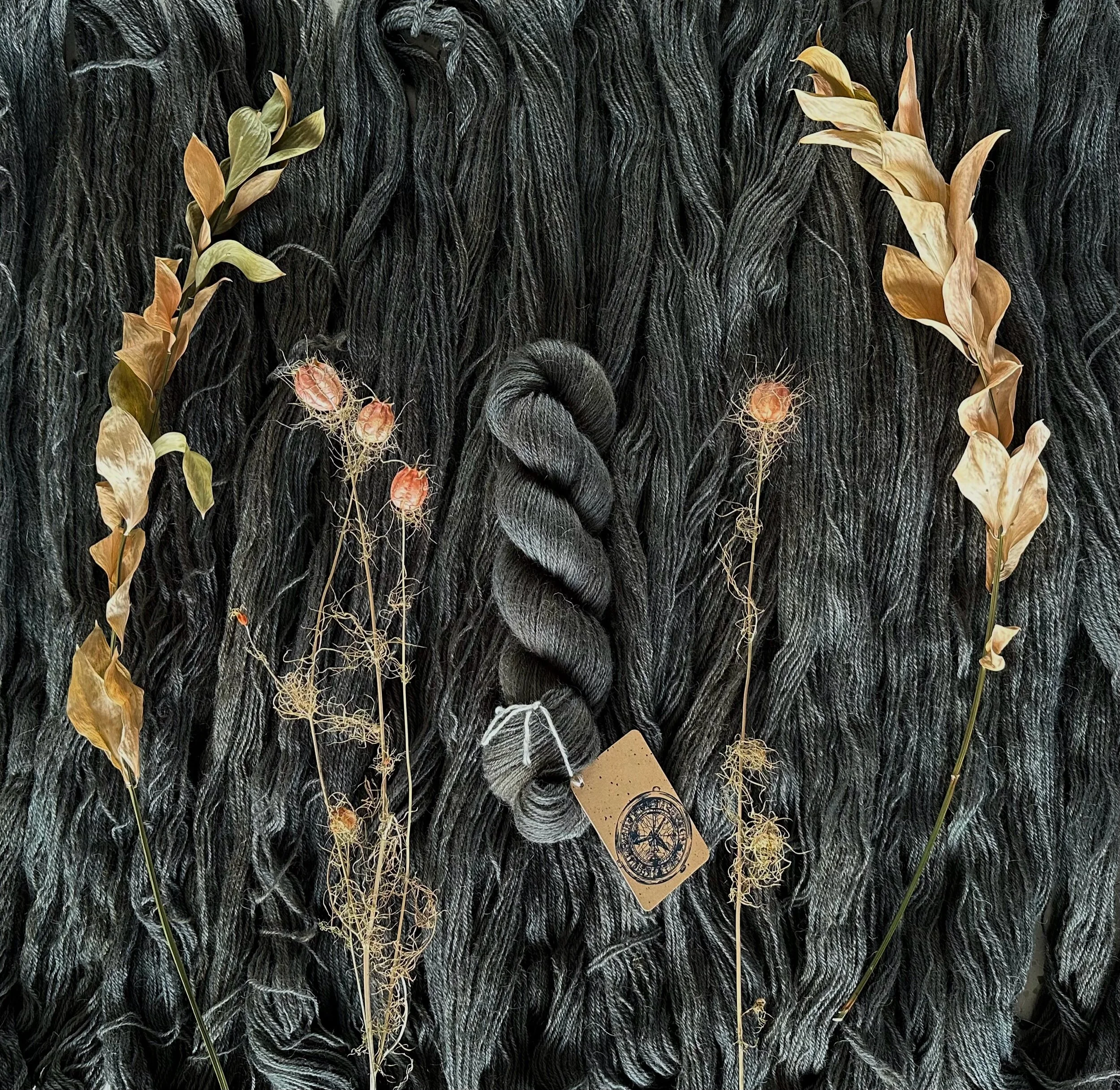 8B05E82B-E76B-44AA-9147-F6BAC1B86755