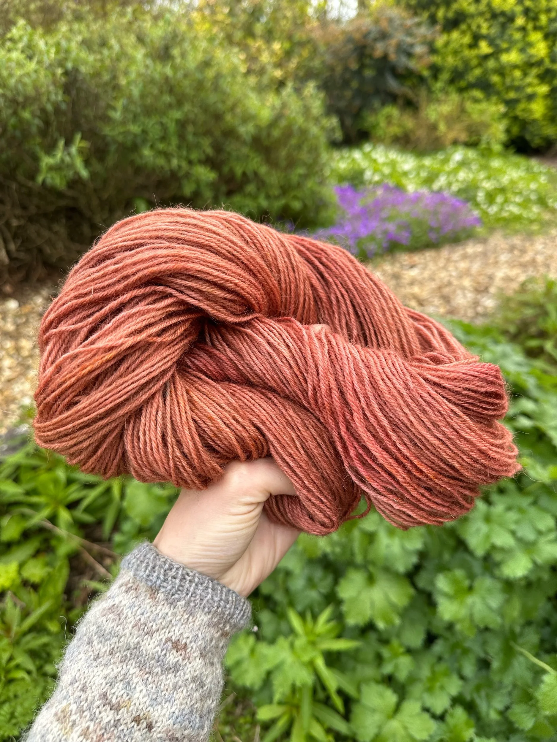 7C00FFD9-5FC9-4039-9E7D-4552C7ACC5E5.jpeg (Copy)