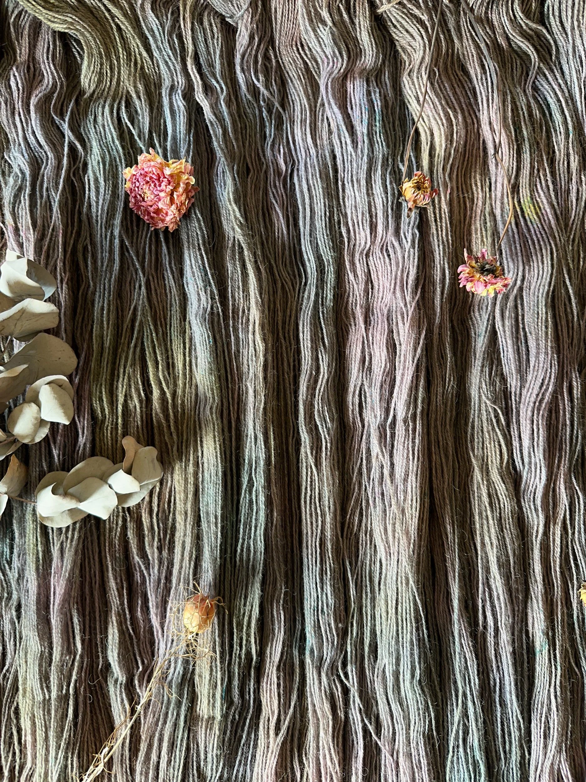 136D01E7-66BC-4265-8F14-364458AE91C5.jpeg