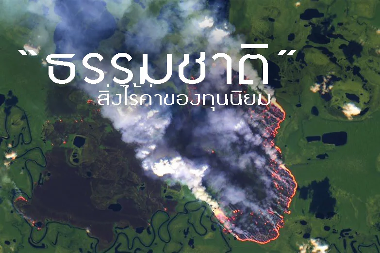 “ธรรมชาติ” สิ่งไร้ค่าของทุนนิยม