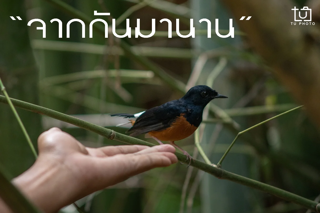 “จากกันมานาน”