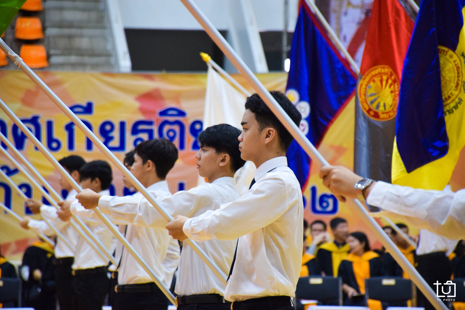 DSC_0382.jpg