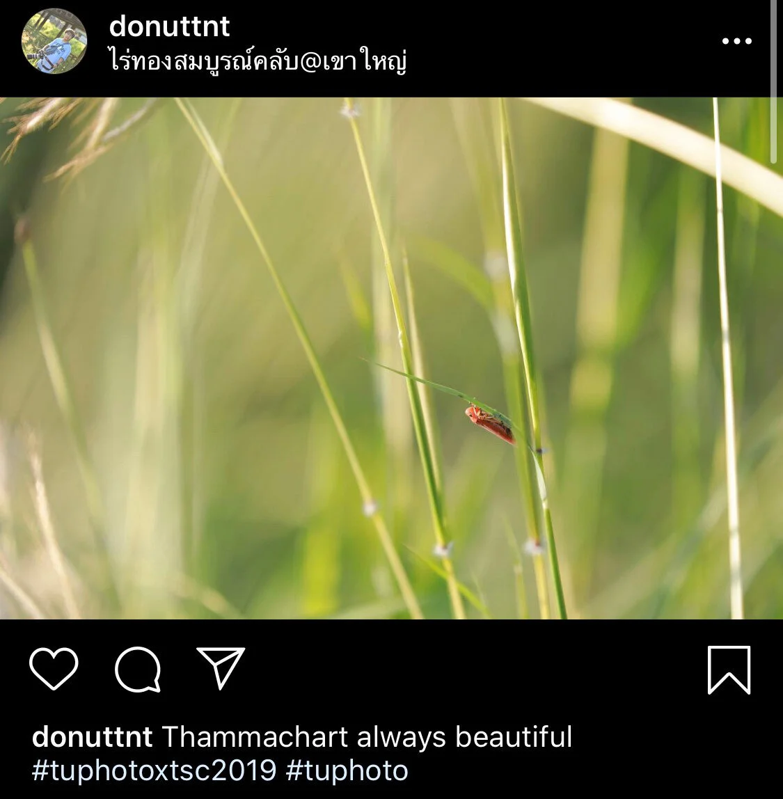 ส่งรูปจาแม_191025_0004.jpg