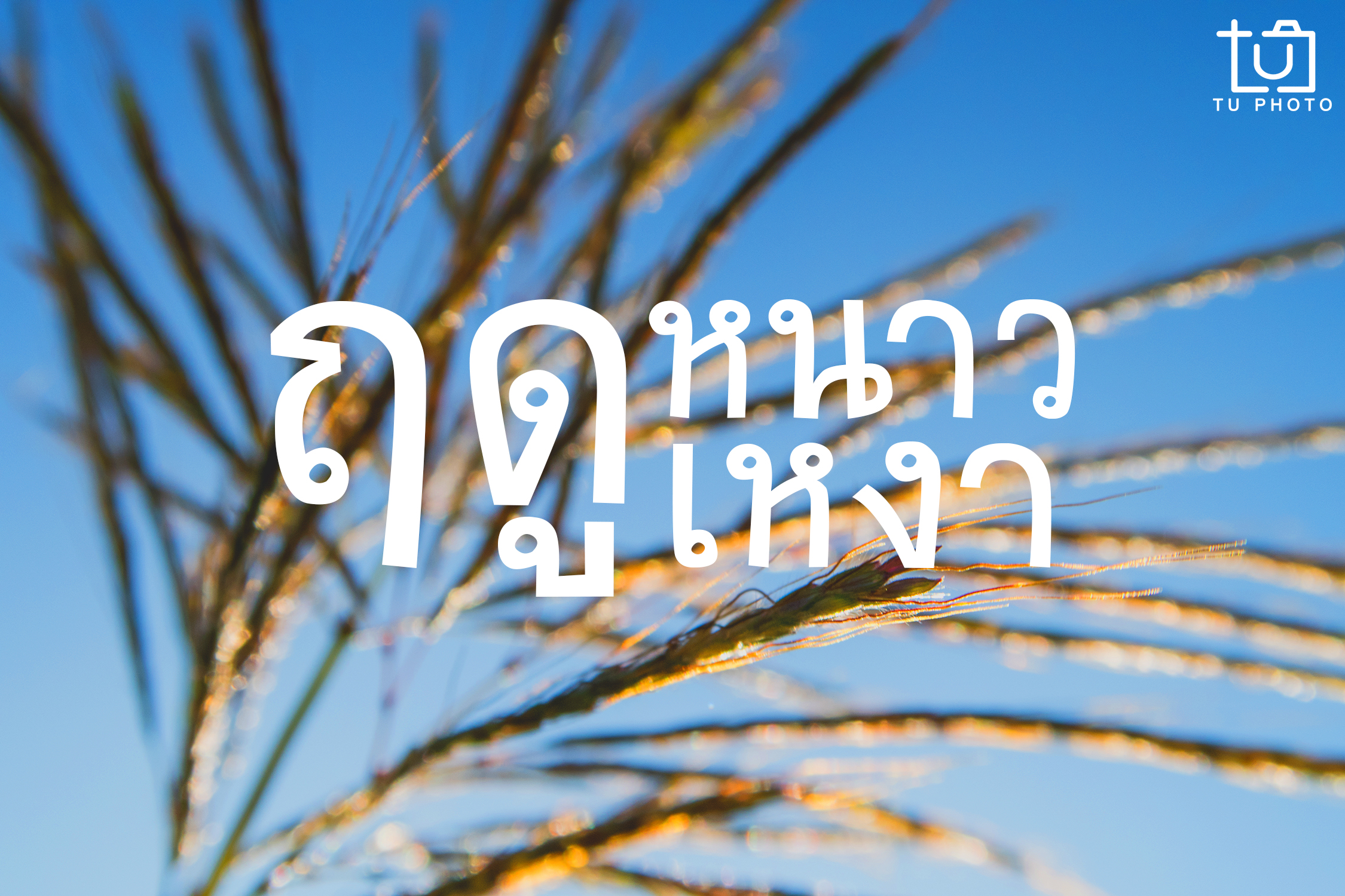 ฤดูหนาว - ฤดูเหงา