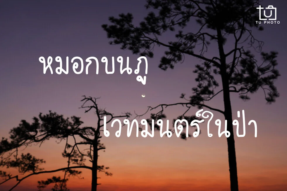 หมอกบนภู เวทมนตร์ในป่า
