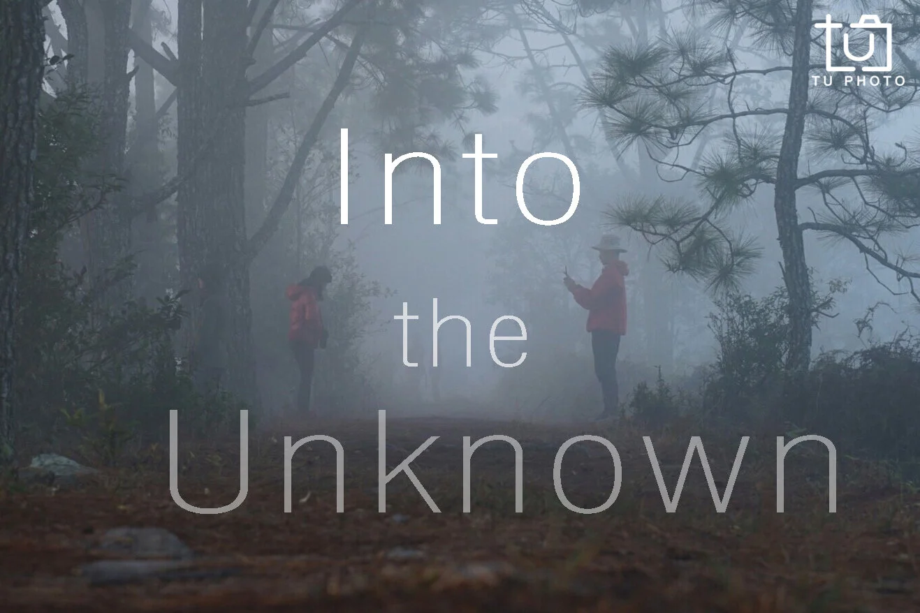 Into the Unknown