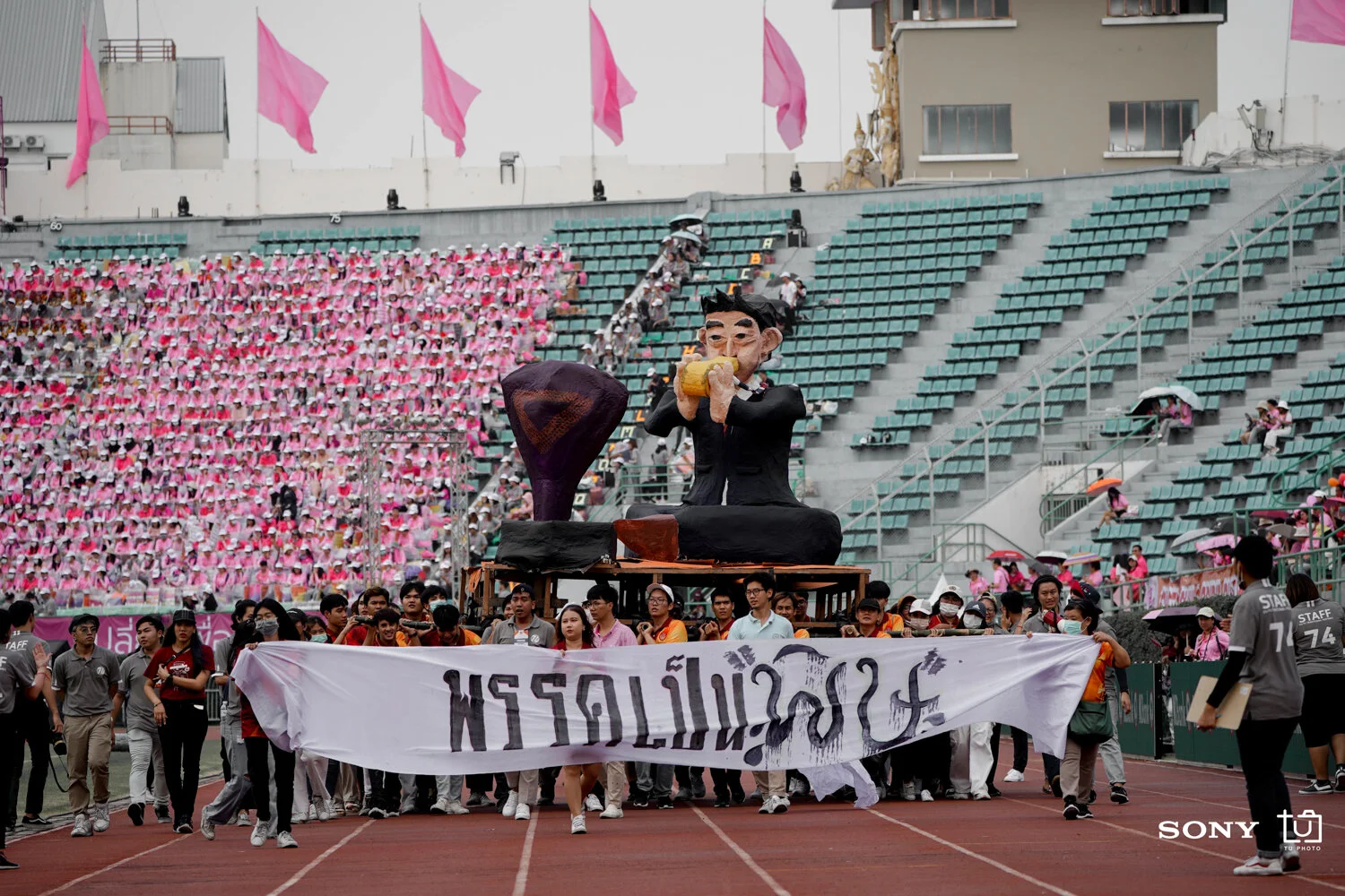 DSC02381.jpg