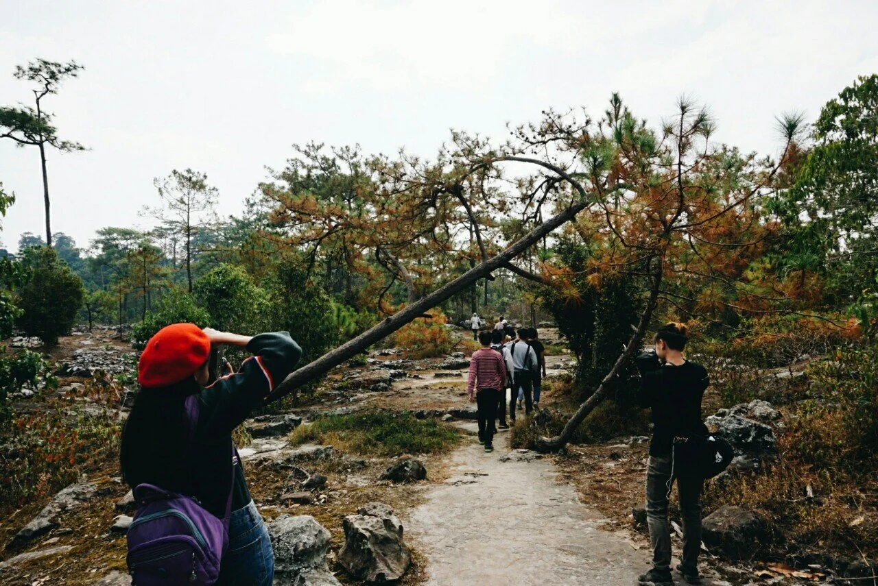 รูปเพื่อนๆที่ชอบ 3ใบ_200223_0038.jpg