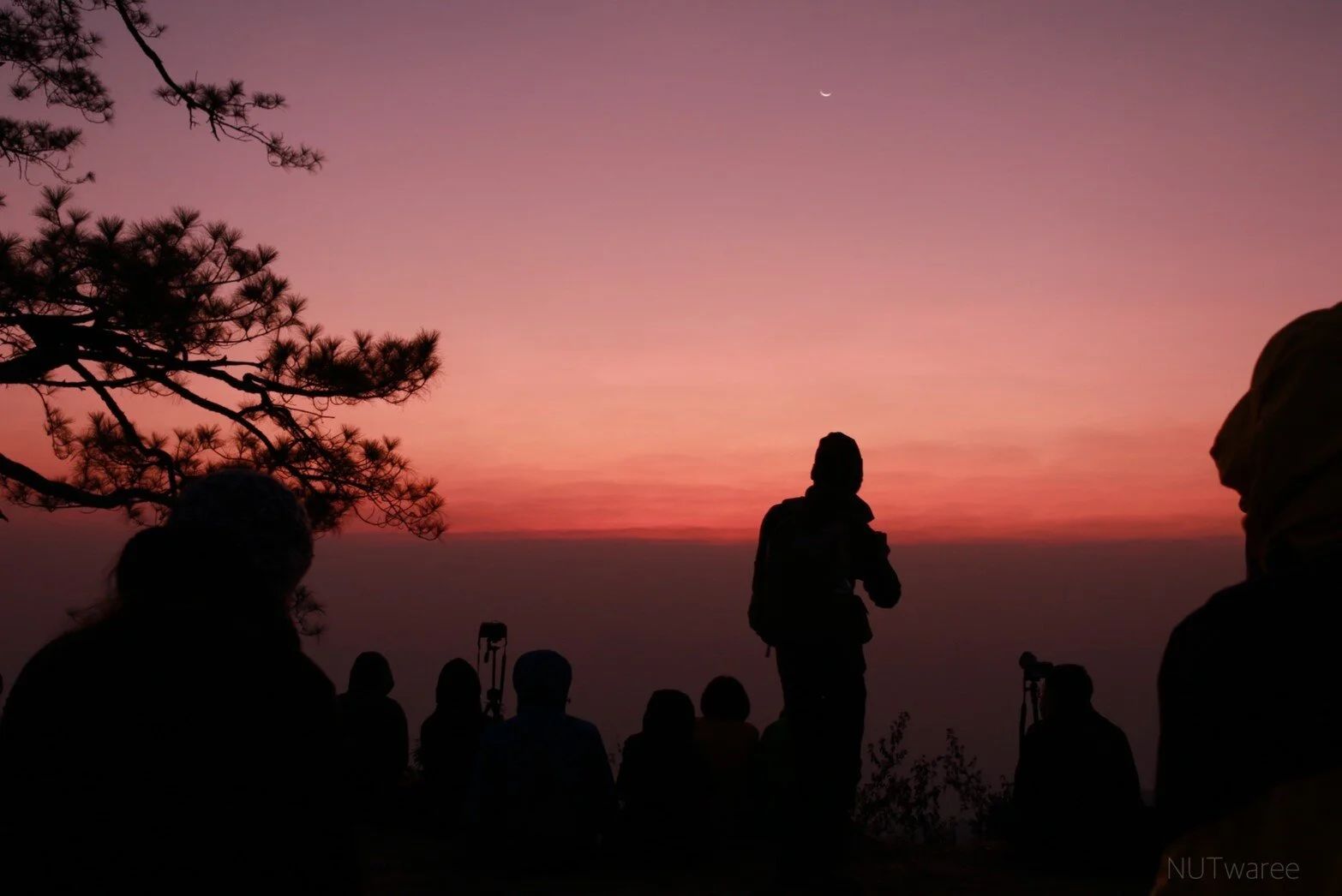 รูปที่ตัวเองชอบ3ใบ_200223_0015.jpg