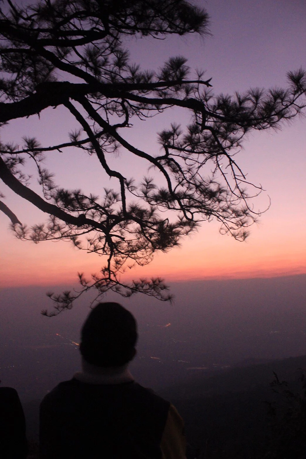 รูปที่ตัวเองชอบ3ใบ_200223_0020.jpg
