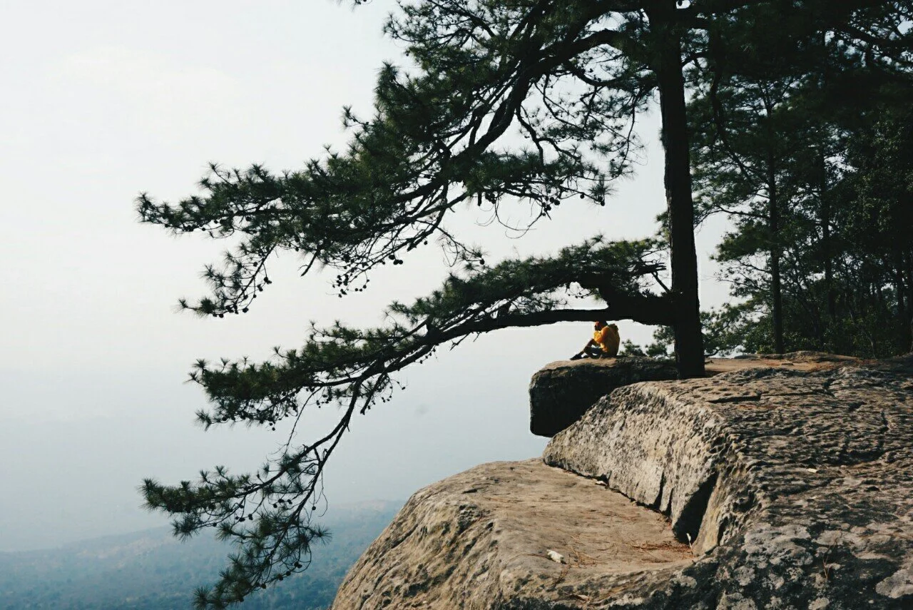 รูปที่ตัวเองชอบ3ใบ_200223_0041.jpg