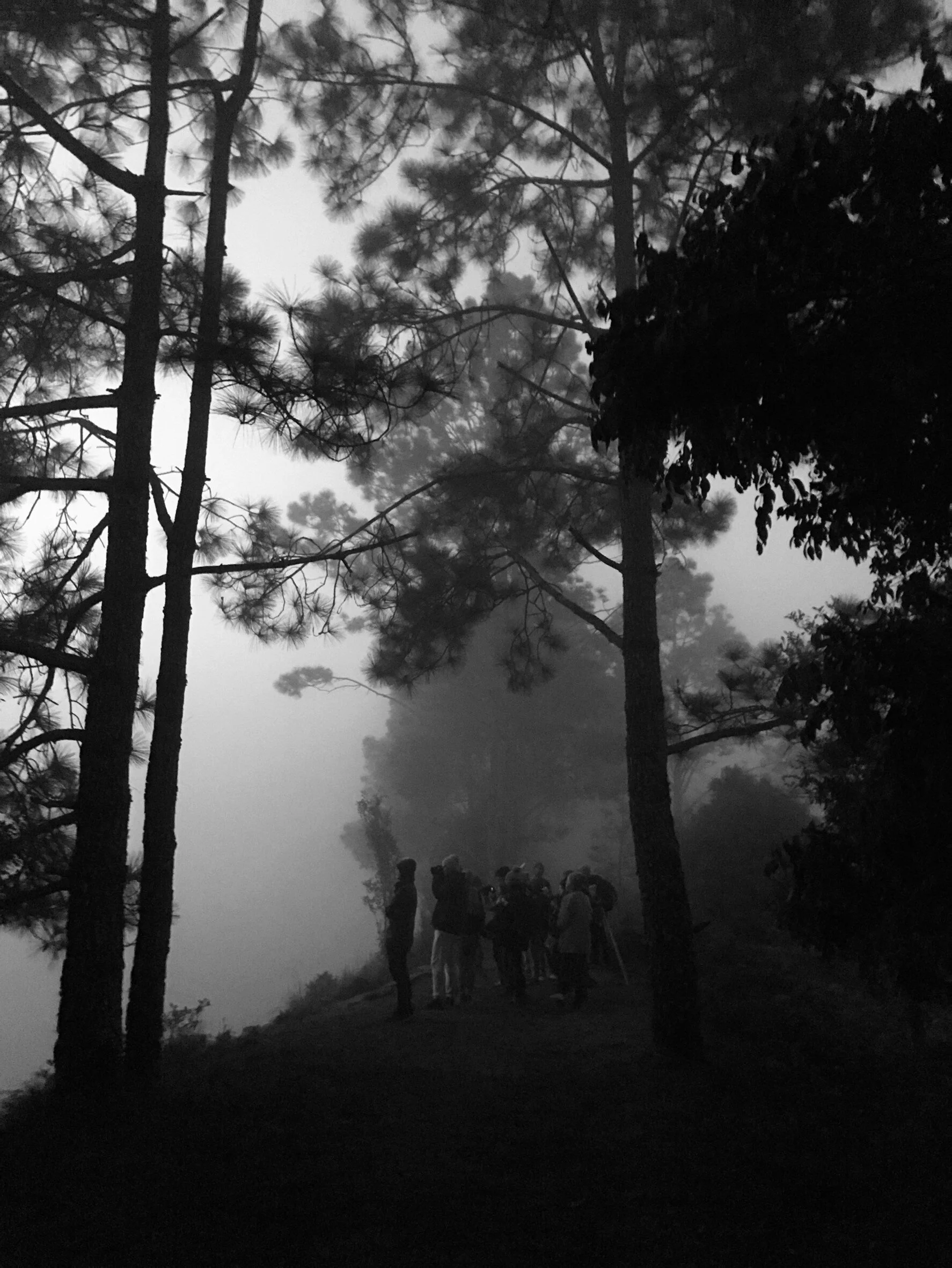 รูปที่ตัวเองชอบ3ใบ_200223_0055.jpg