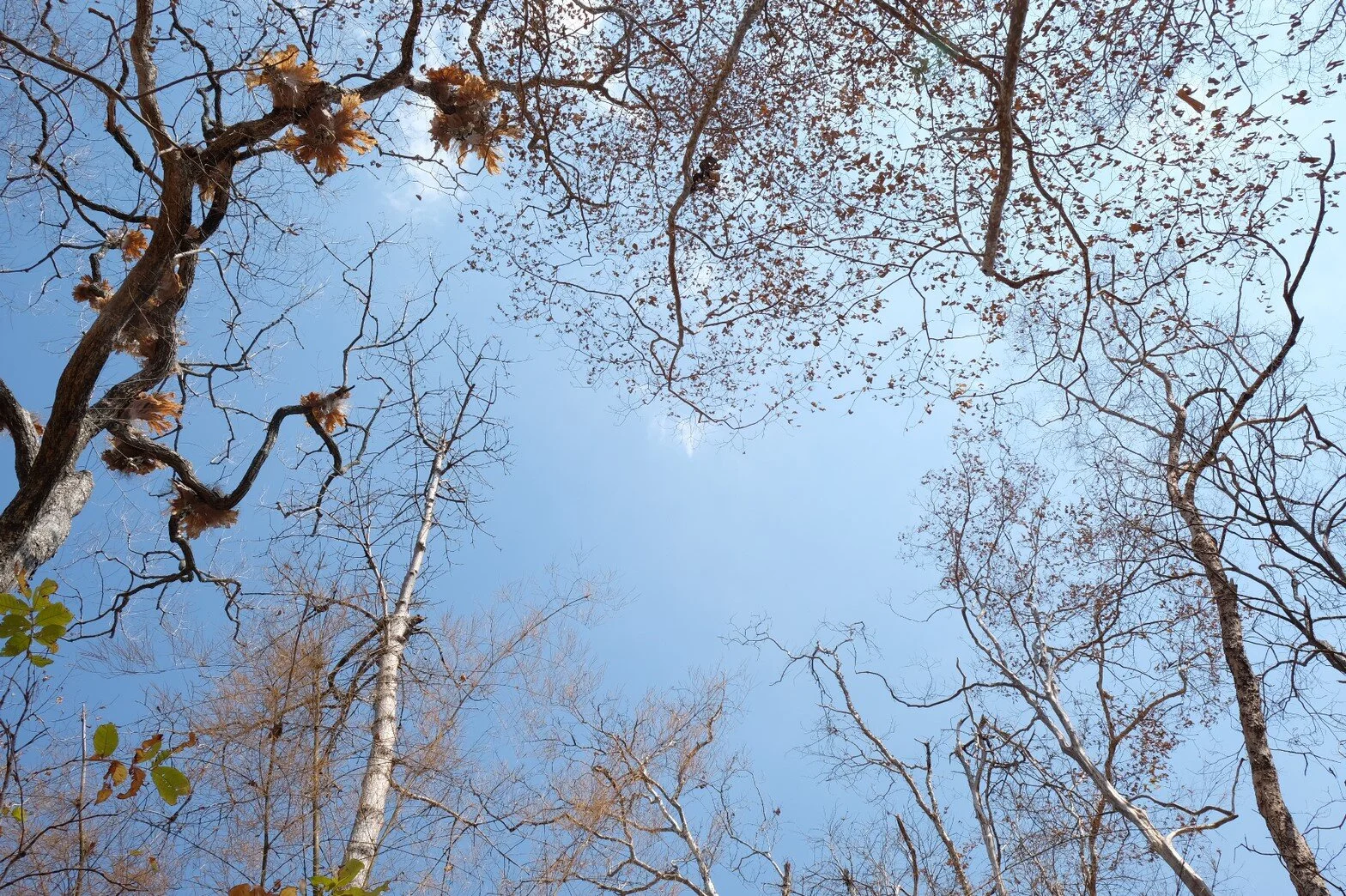 รูปที่ตัวเองชอบ3ใบ_200223_0059.jpg