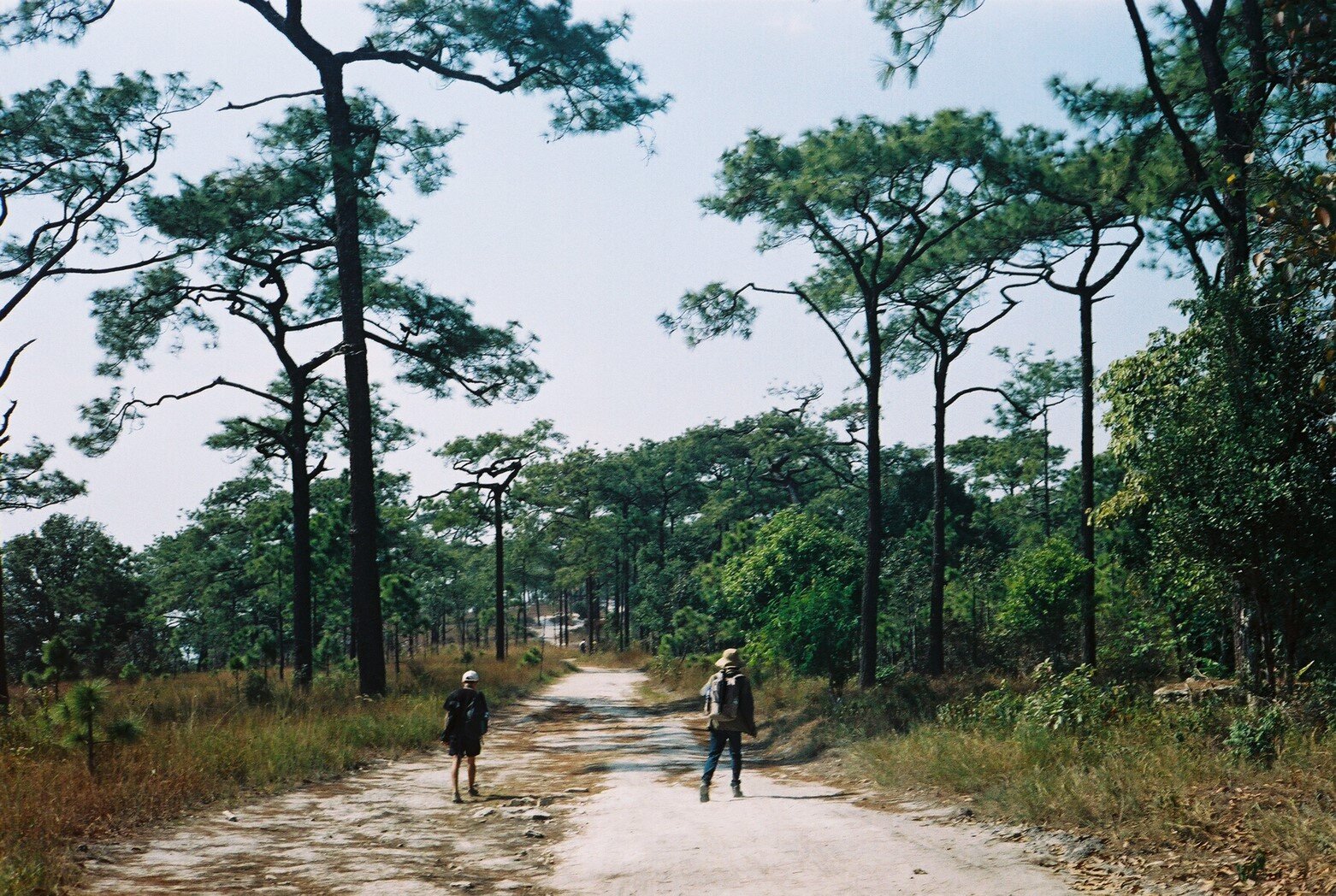รูปที่ตัวเองชอบ3ใบ_200223_0066.jpg
