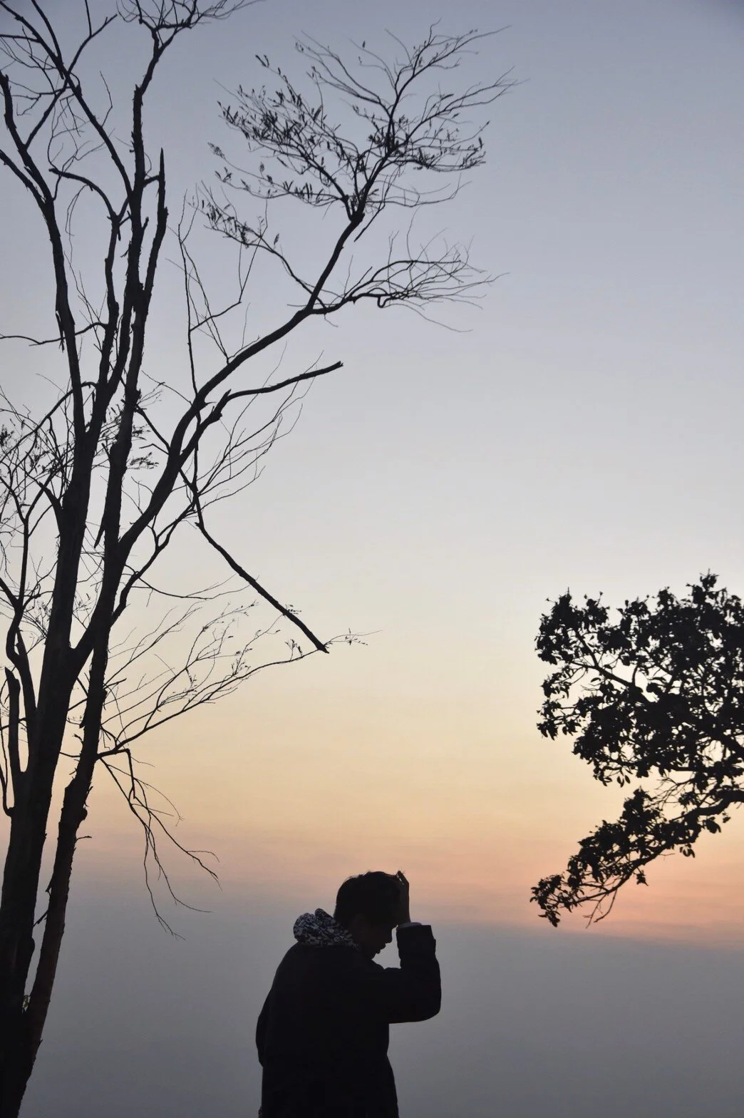 รูปที่ตัวเองชอบ3ใบ_200223_0072.jpg