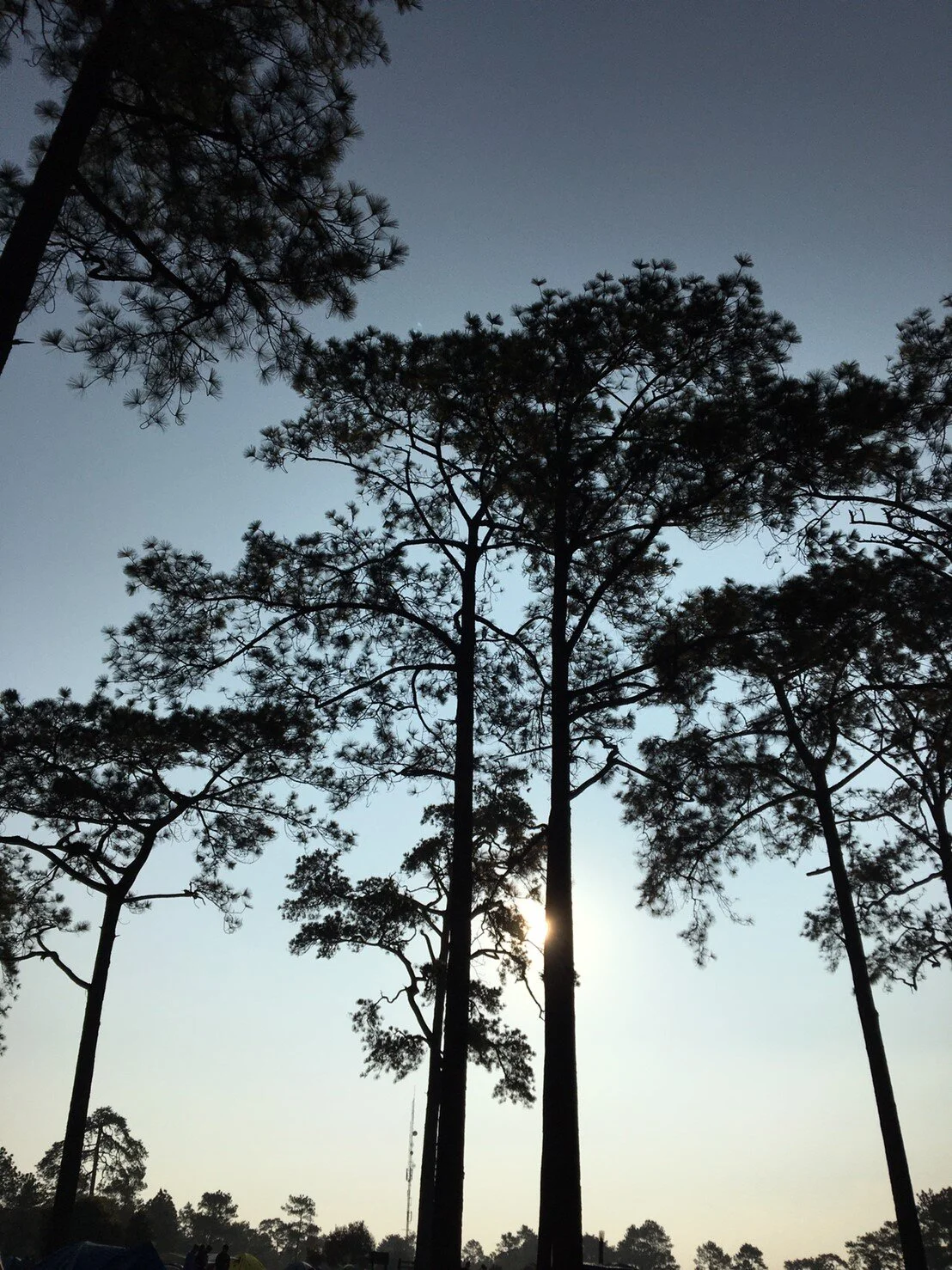 รูปที่ตัวเองชอบ3ใบ_200223_0071.jpg