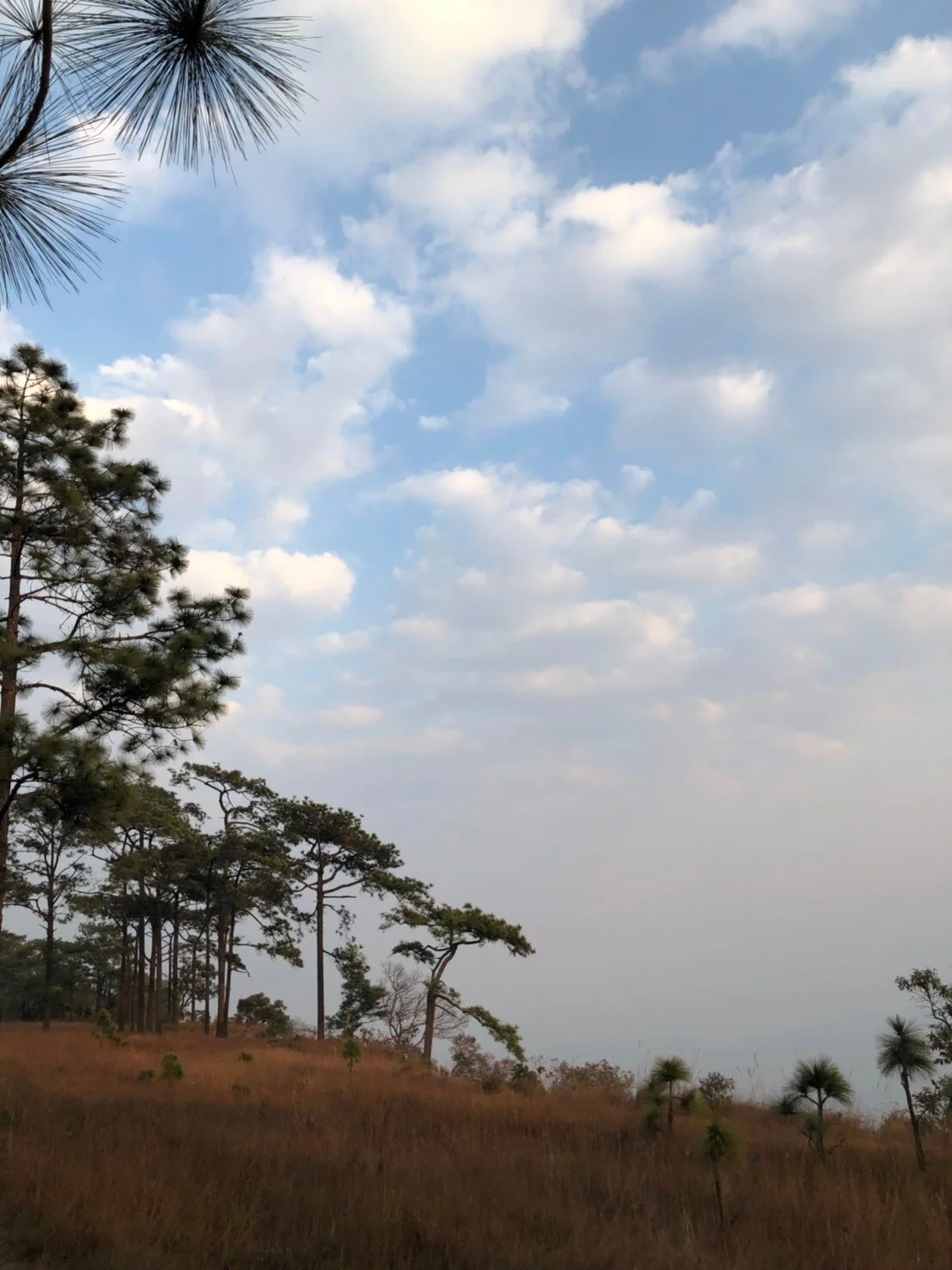รูปที่ตัวเองชอบ3ใบ_200223_0077.jpg