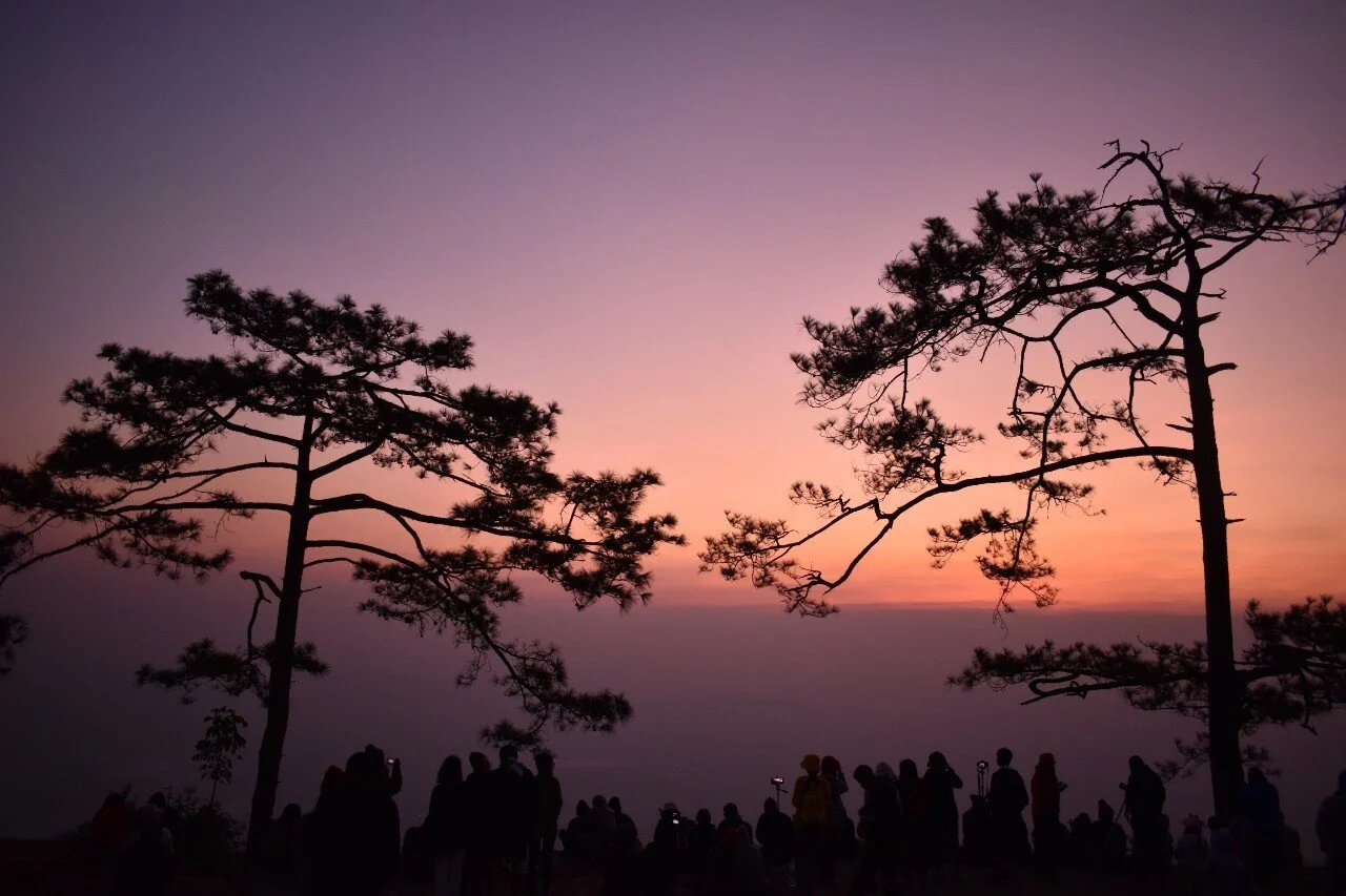 รูปที่ตัวเองชอบ3ใบ_200223_0082.jpg
