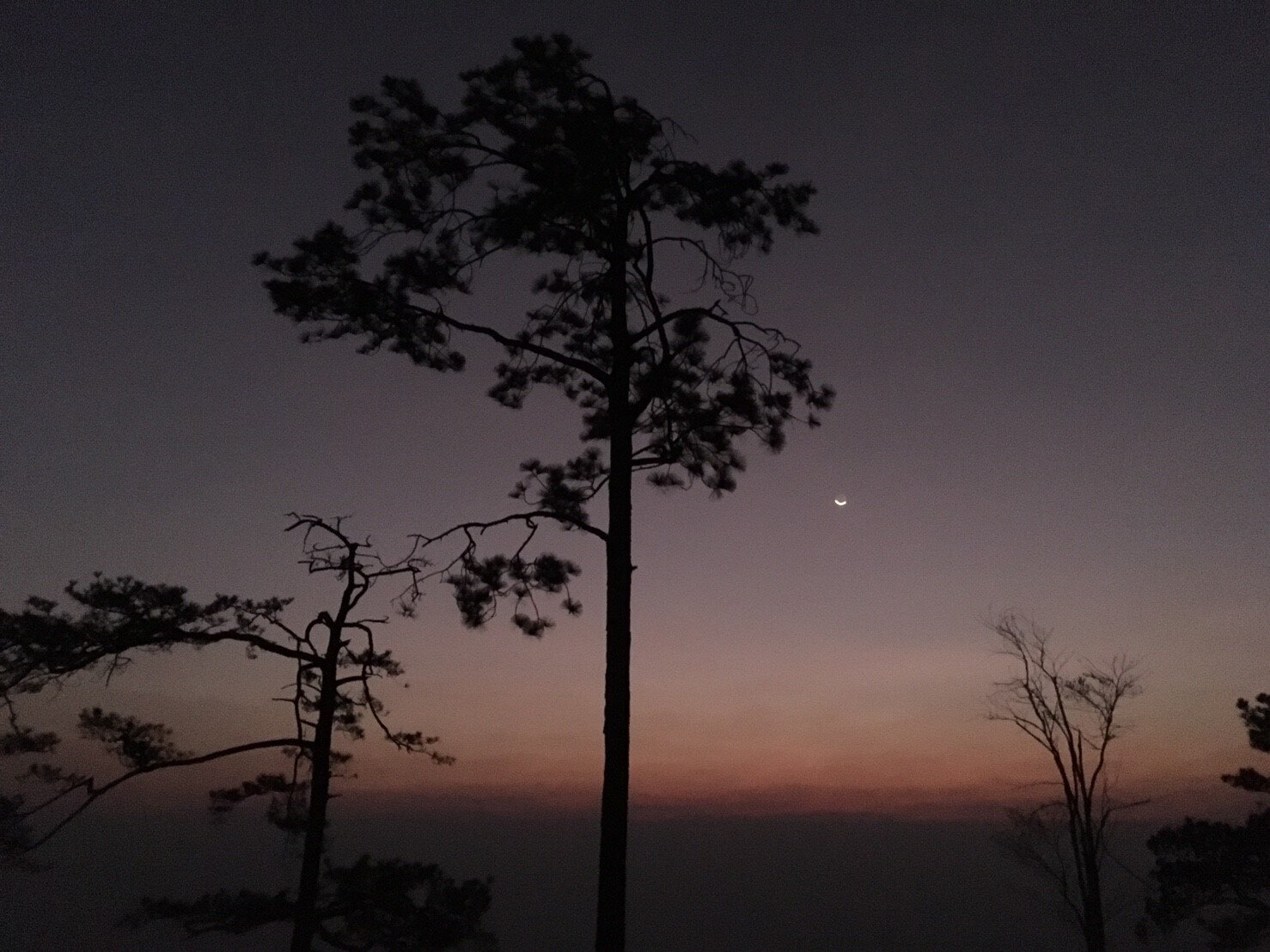 รูปที่ตัวเองชอบ3ใบ_200223_0098.jpg