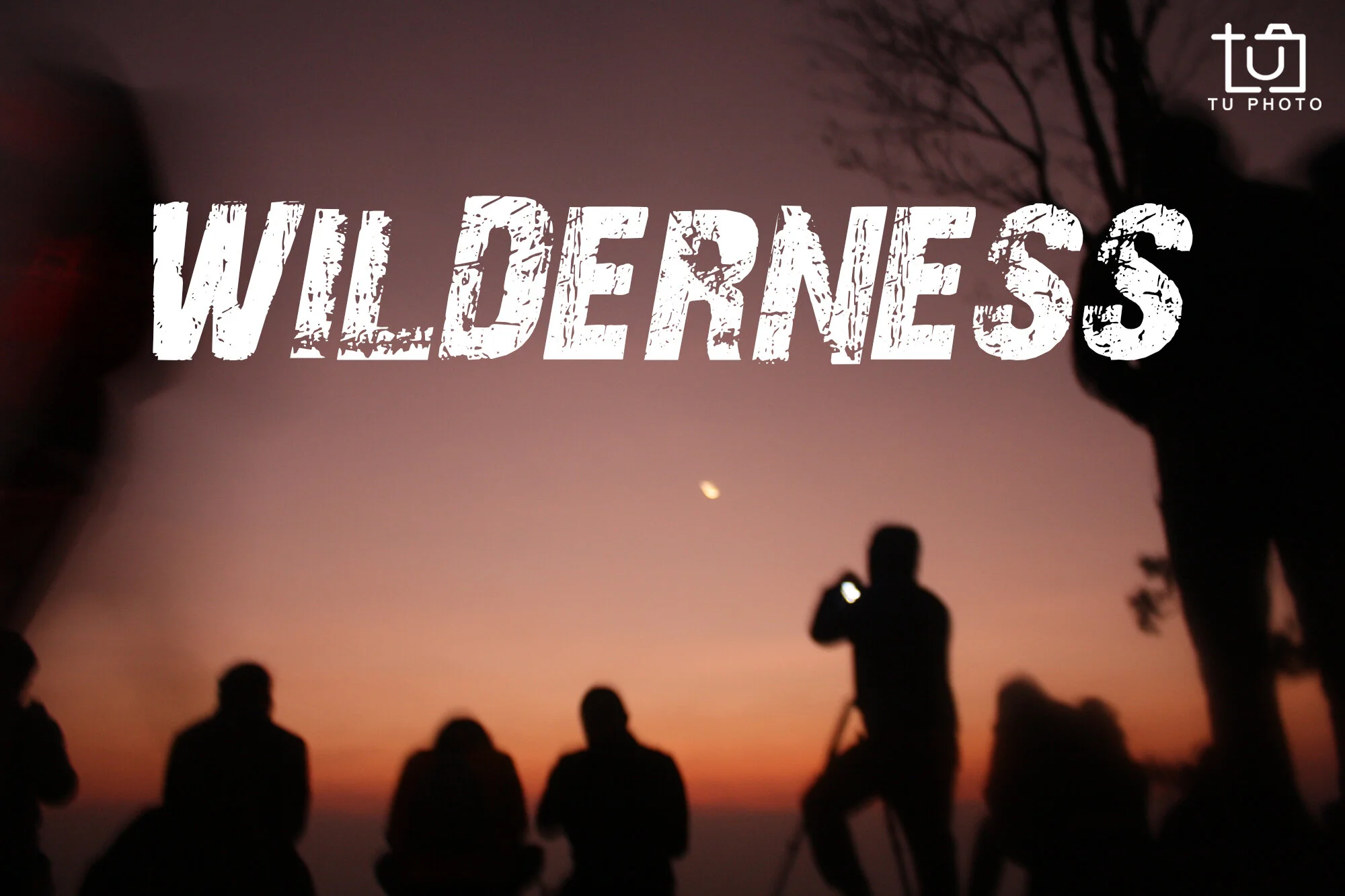 Wilderness