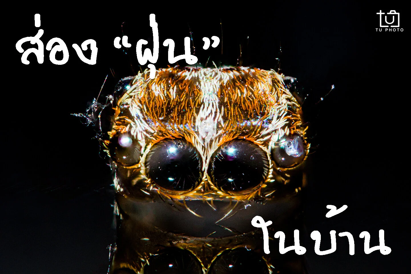 ส่อง "ฝุ่น" ในบ้าน