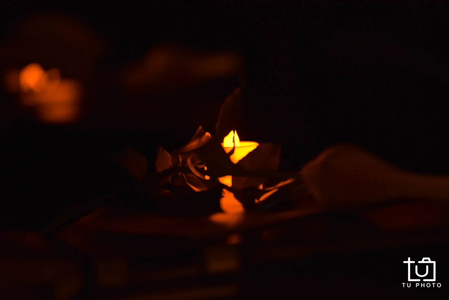 D75_1412.jpg