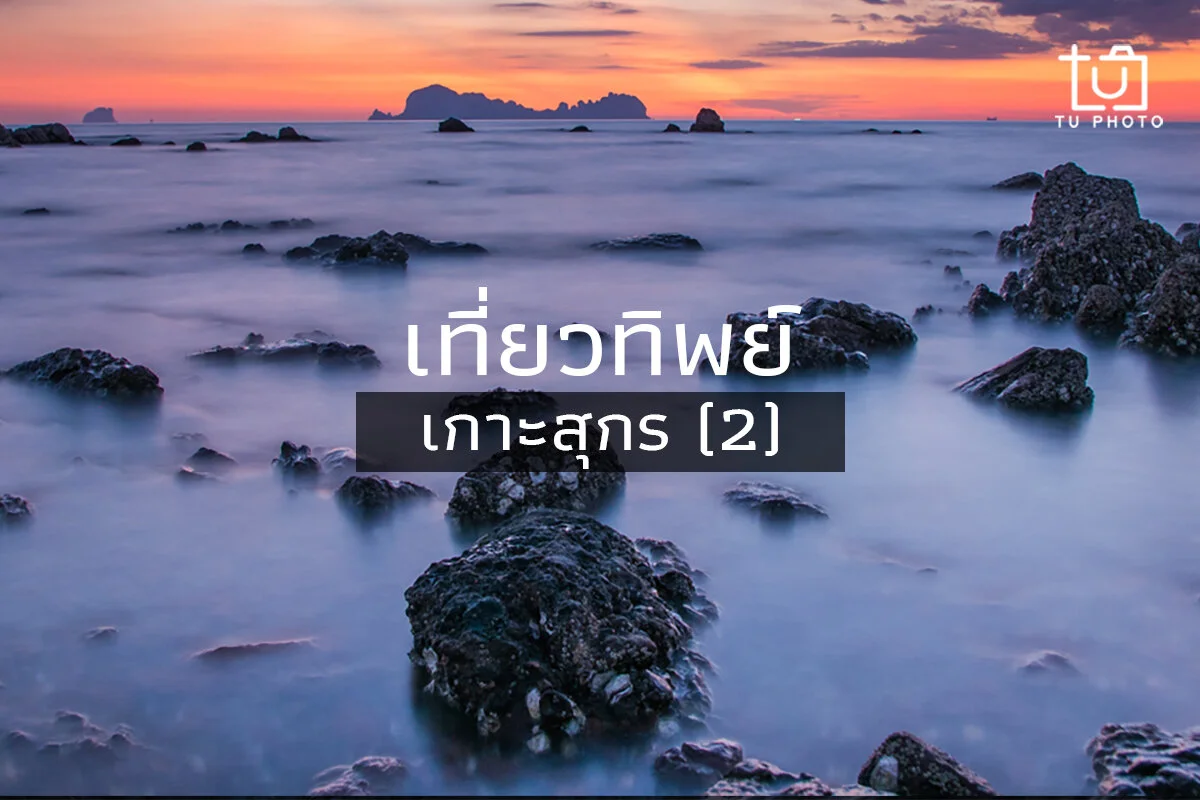 เที่ยวทิพย์: เกาะสุกร (วันที่สอง)