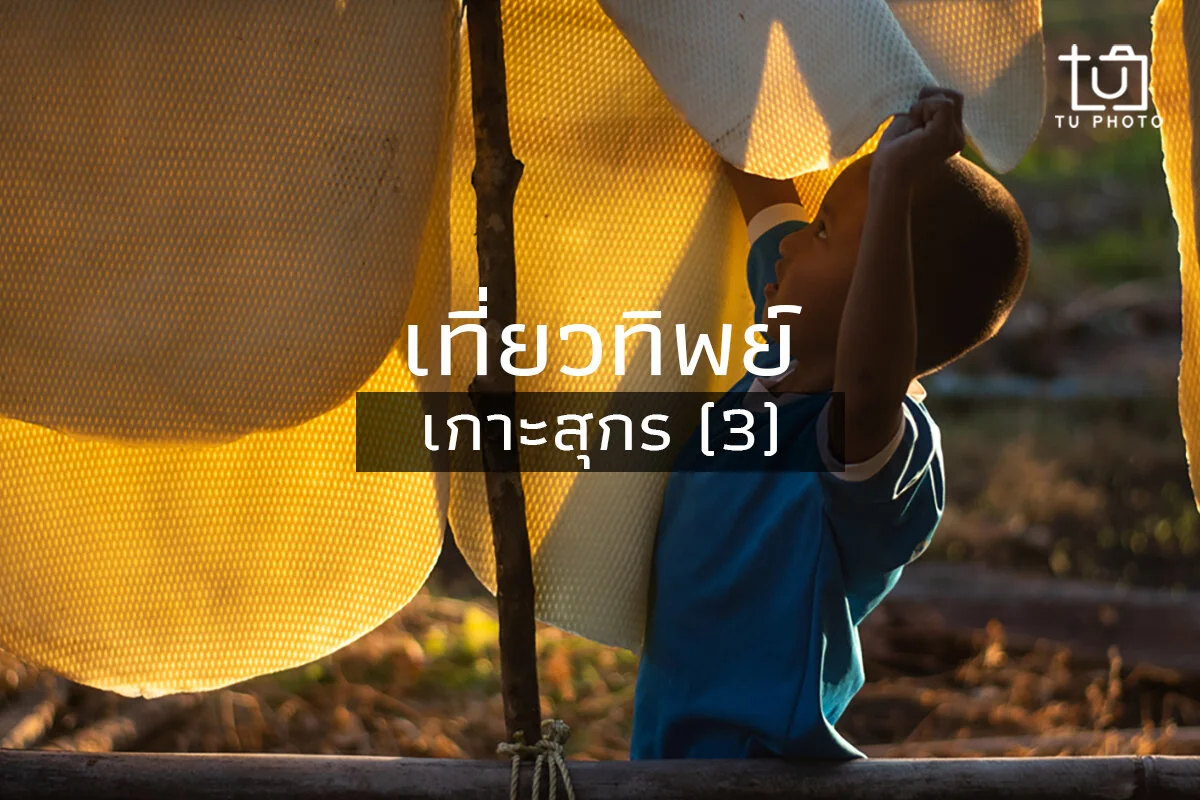 เที่ยวทิพย์: เกาะสุกร (วันที่สาม)