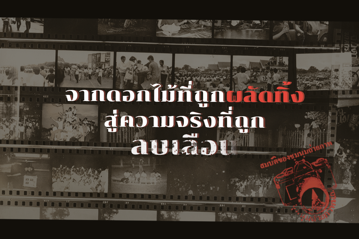 จากดอกไม้ที่ถูกผลัดทิ้ง สู่ความจริงที่ถูกลบเลือน..