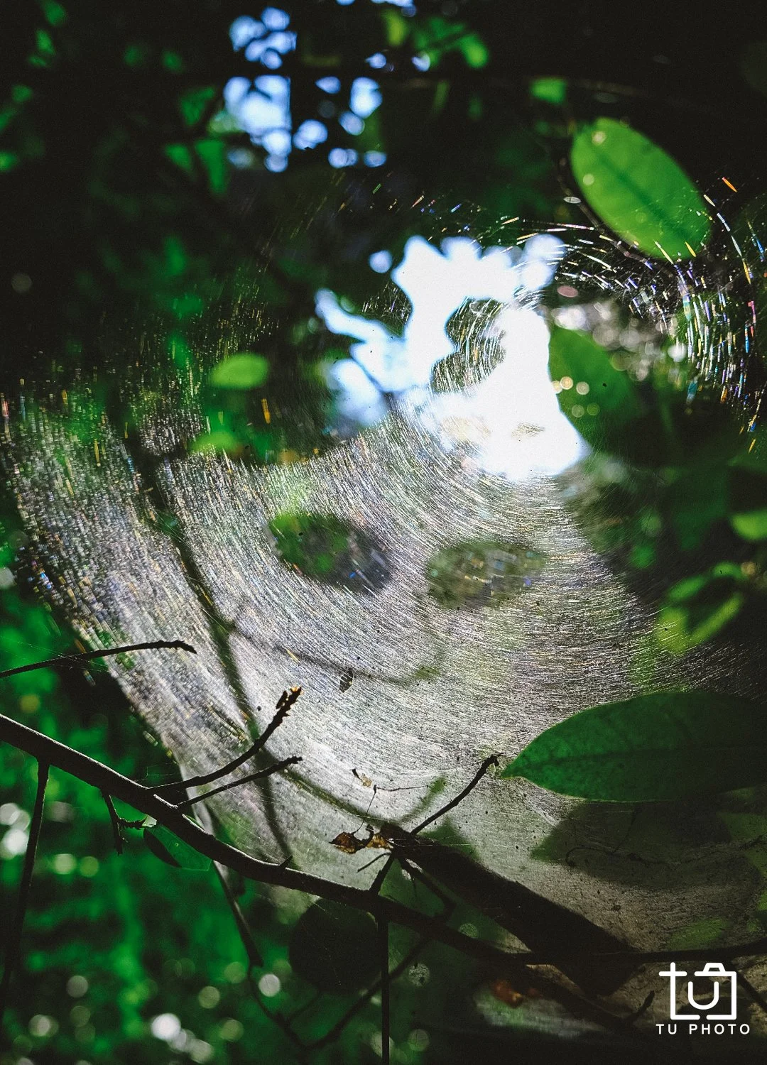 5C02E32F-FA65-46C2-B035-3156432D55FA-60710-000008AEBF00070D.jpg