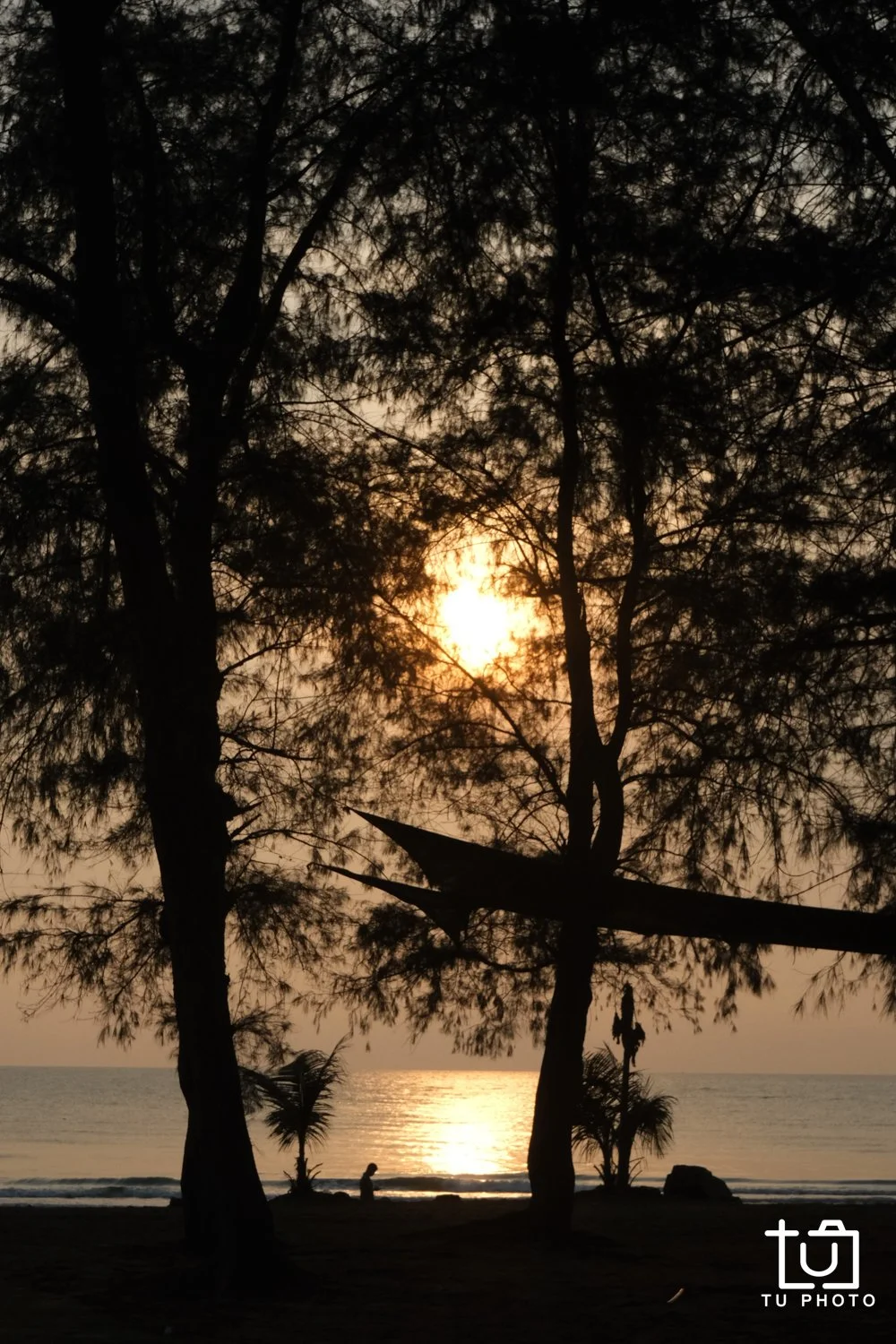 DSCF8260.jpg