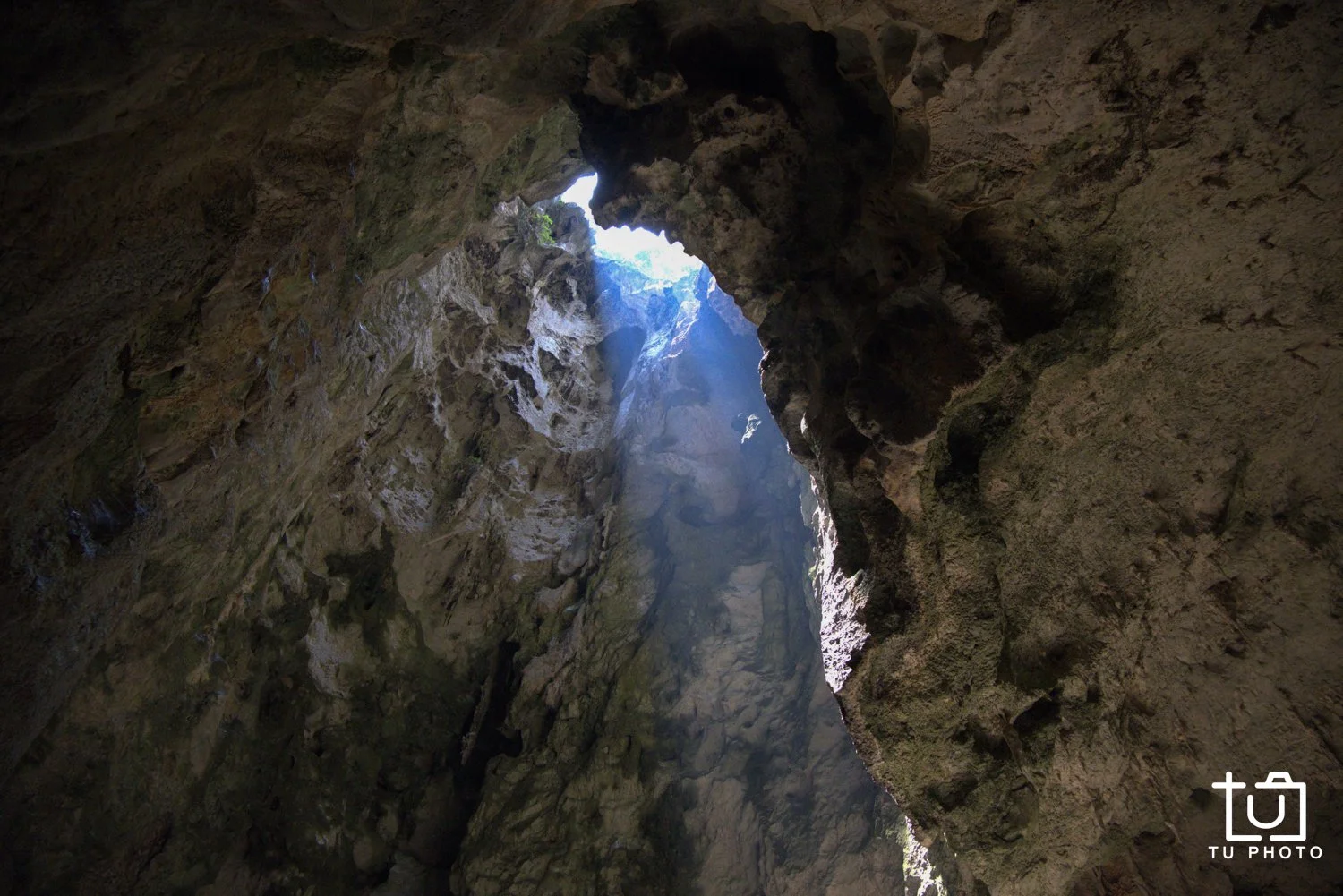DSCF8403.jpg