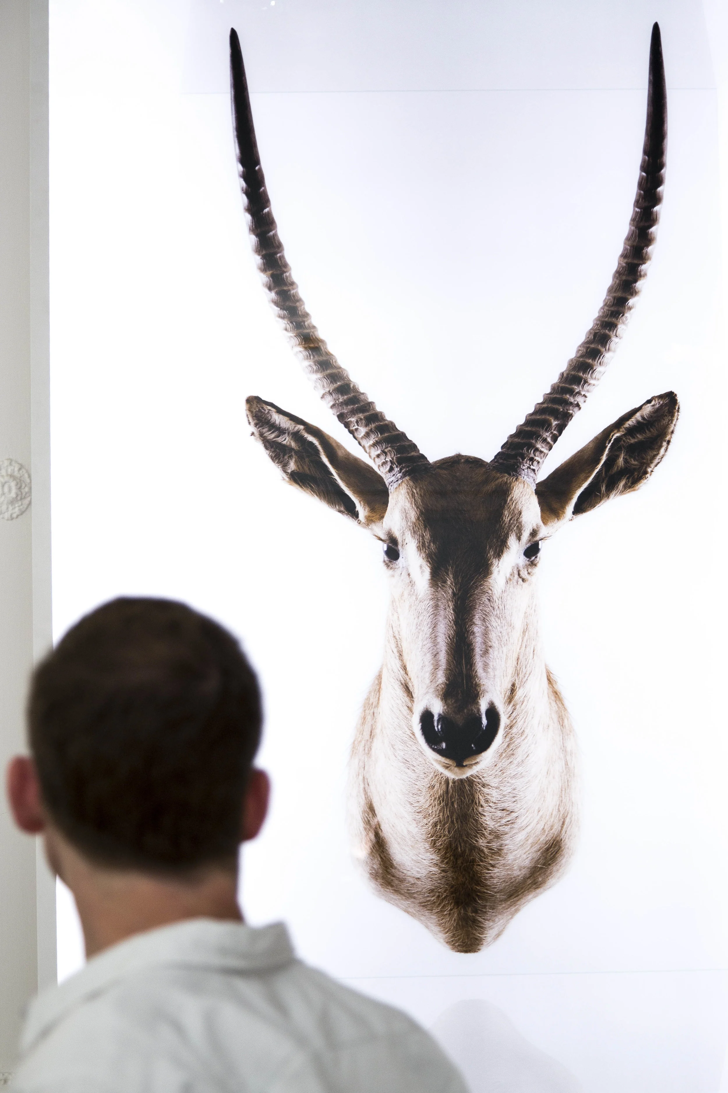 Dan Glasser and Waterbuck (Copy)