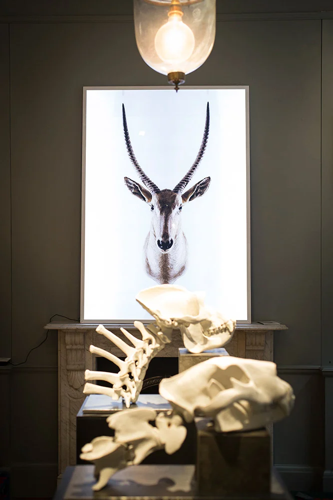 20141014-TROPHIES-OPENING_11.jpg