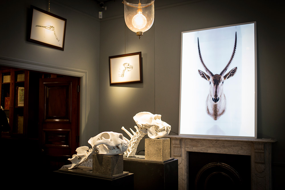 20141014-TROPHIES-OPENING_14.jpg