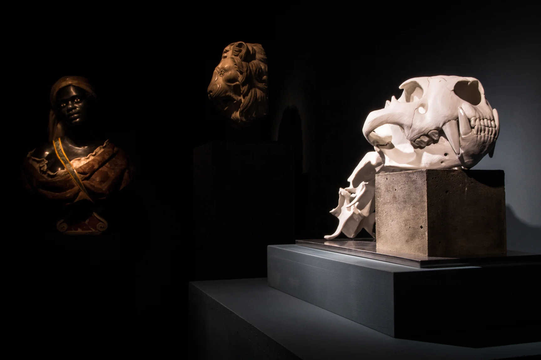 VLECAER_TROPHIES_Brussels_GalleryDesmet(1)_012015.jpg