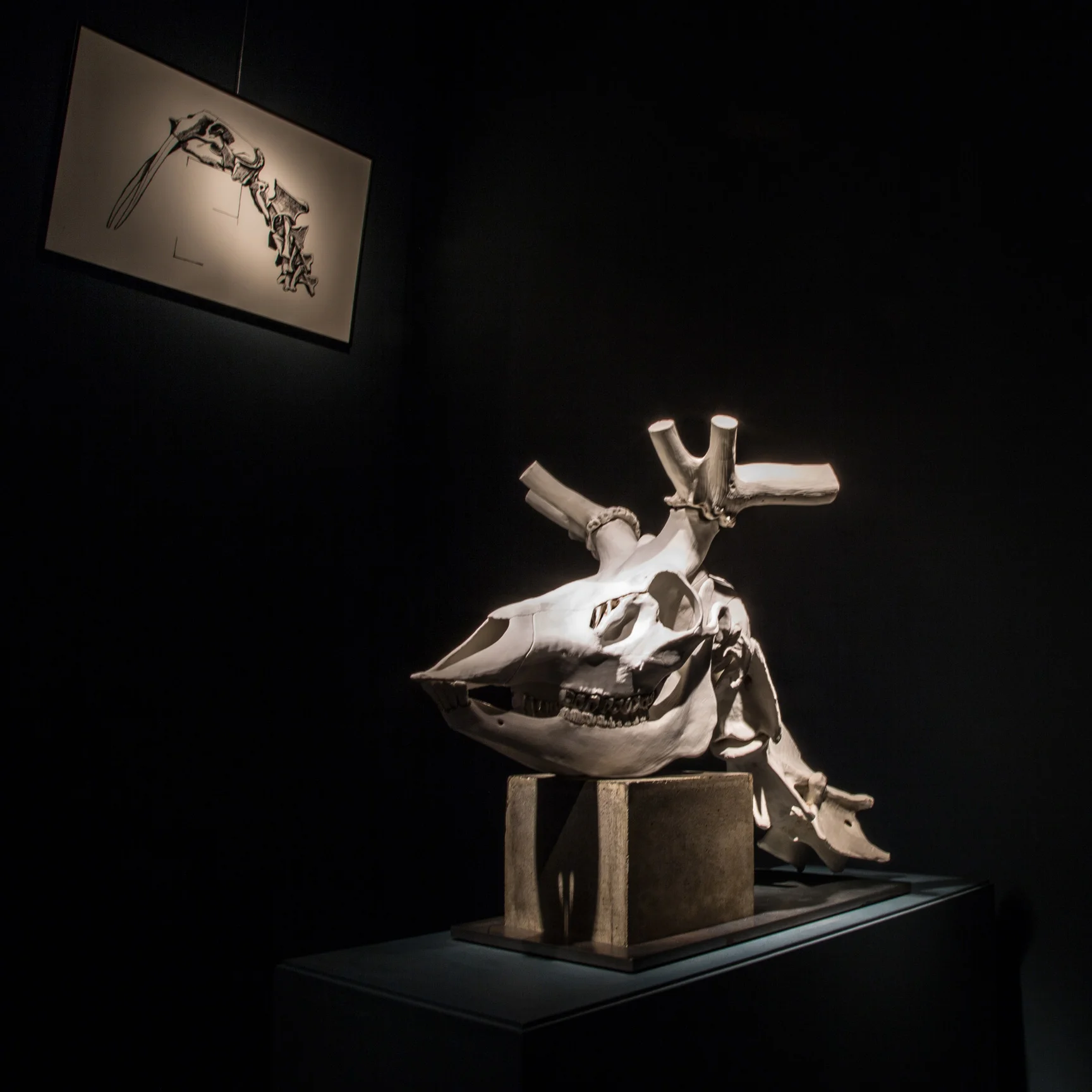VLECAER_TROPHIES_Brussels_GalleryDesmet_012015.jpg