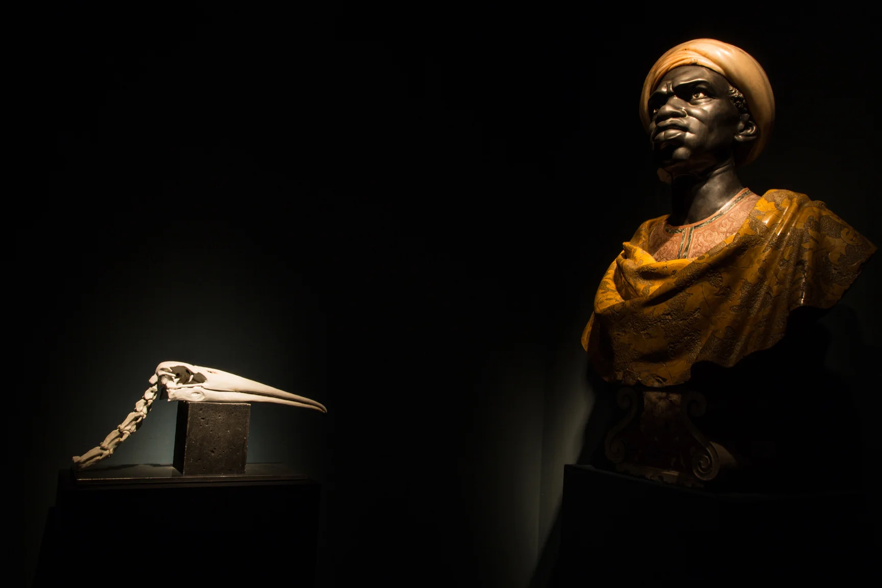 VLECAER_TROPHIES_Brussels_GalleryDesmet(2)_012015.jpg