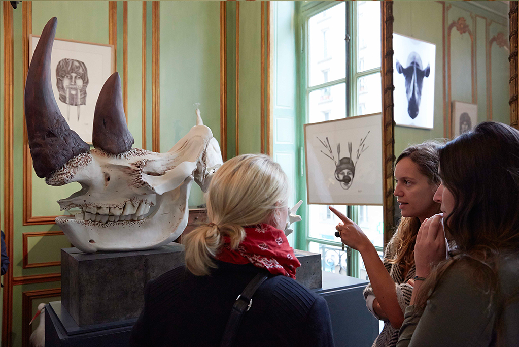 Marine rhino public deyrolle web.jpg