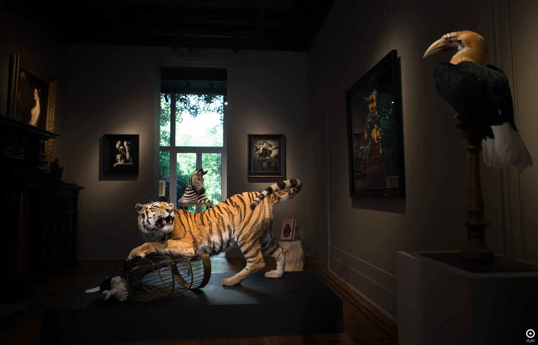 DSC_0064 - [10x15].jpg